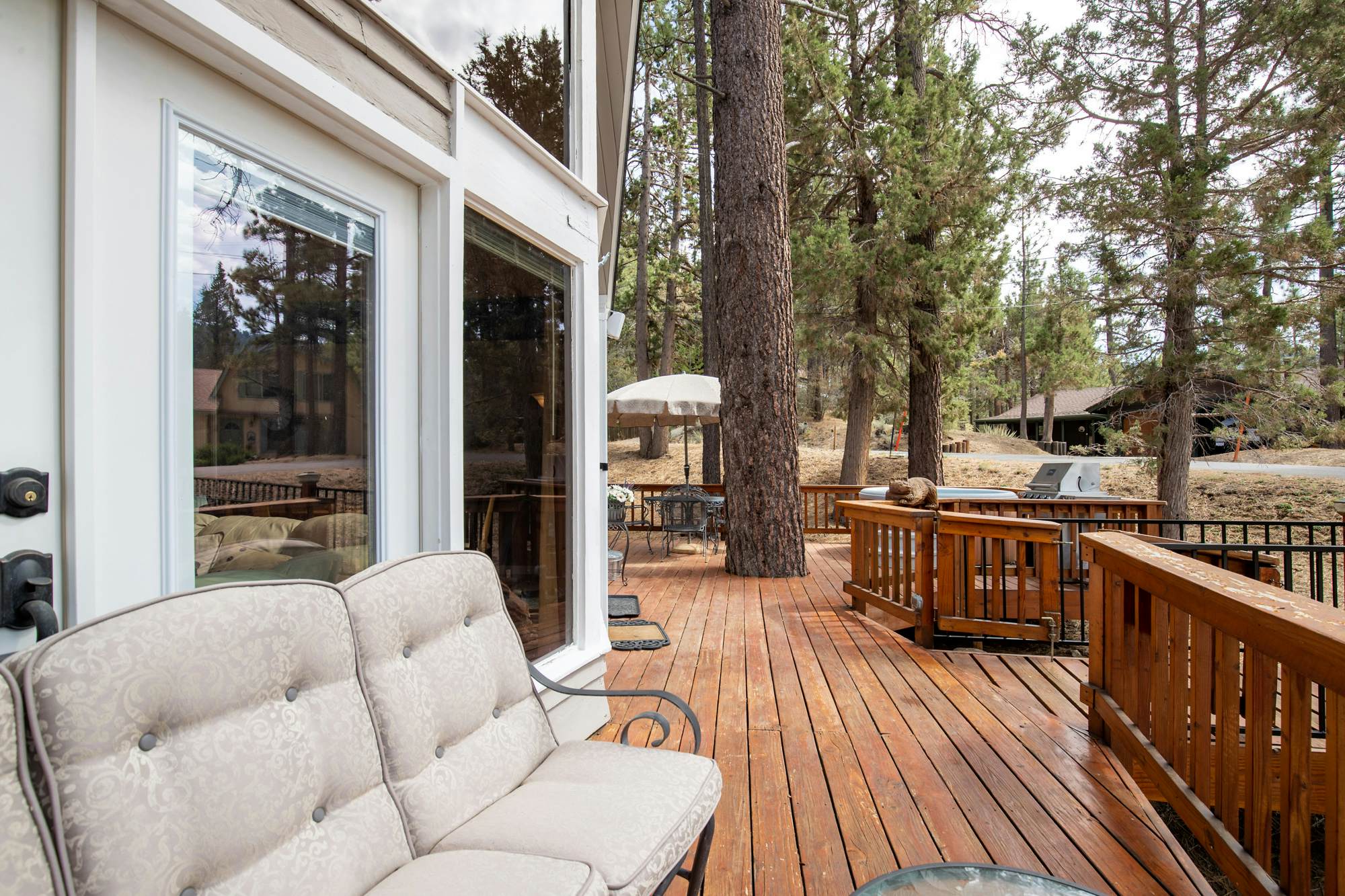 1807-Living the Dream