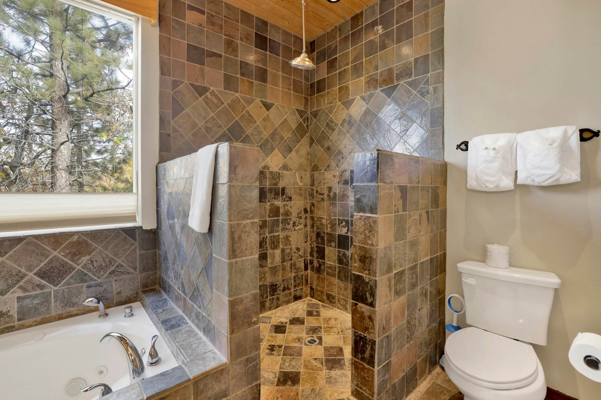 1884 - Grand Forest Lodge