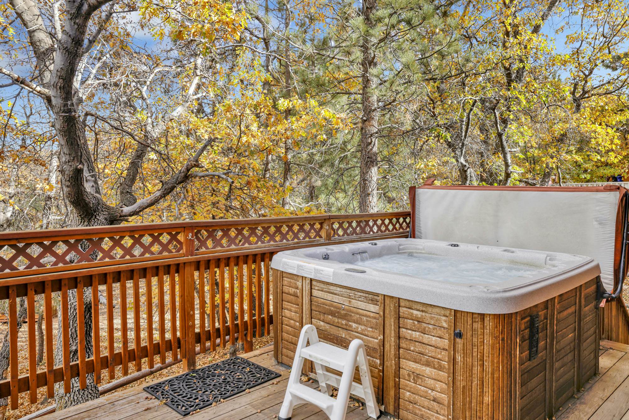 1884 - Grand Forest Lodge