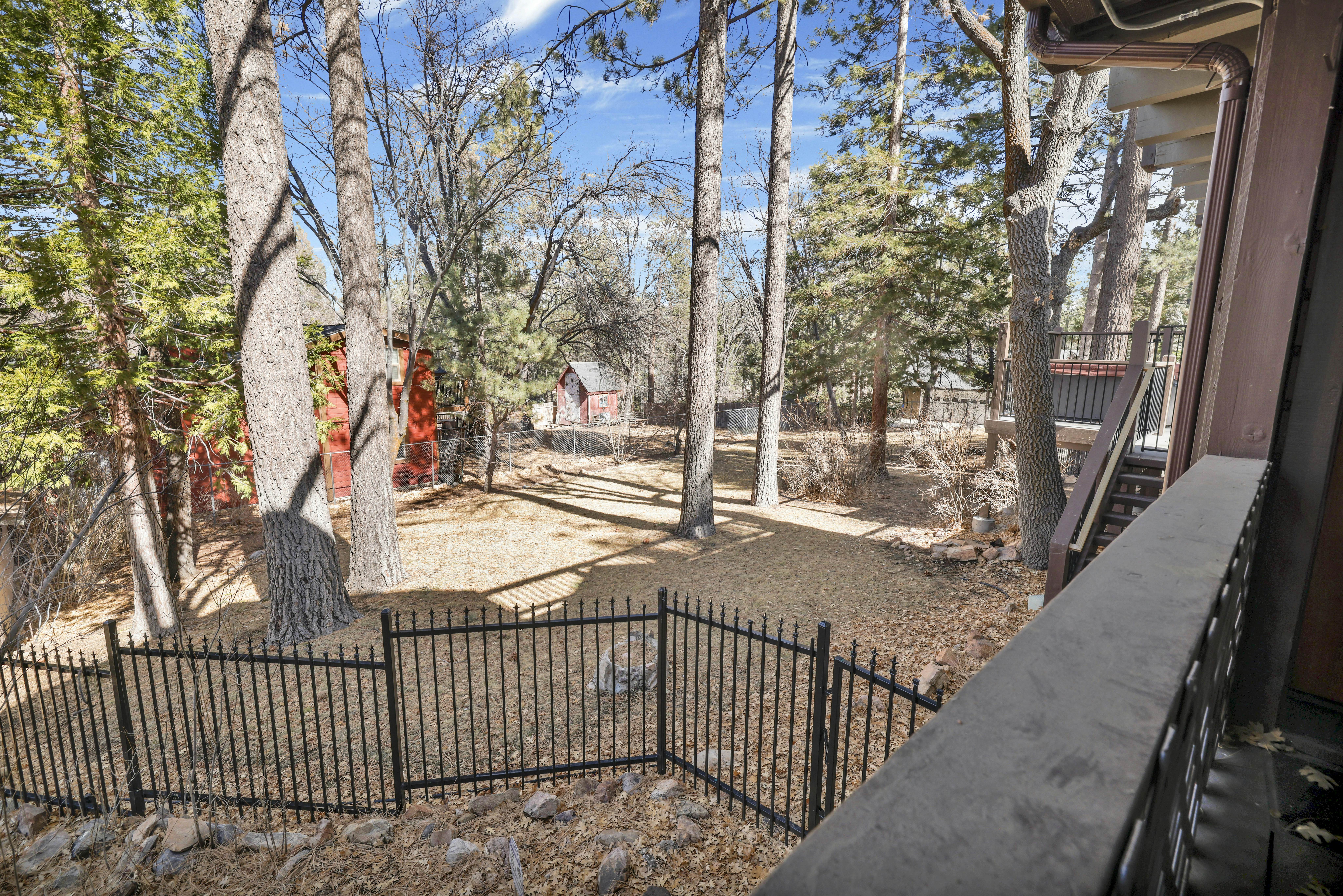 1904-Splash Mountain