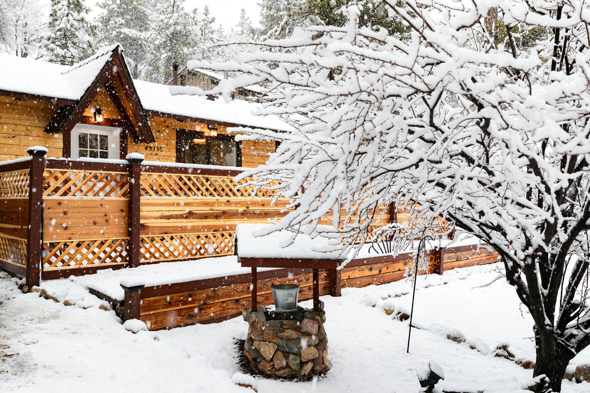 1929-Moonlight Ridge