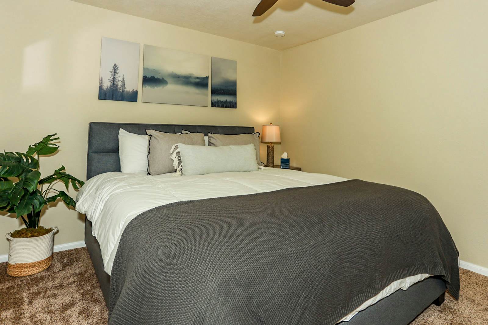 1926- Bohemia Big Bear