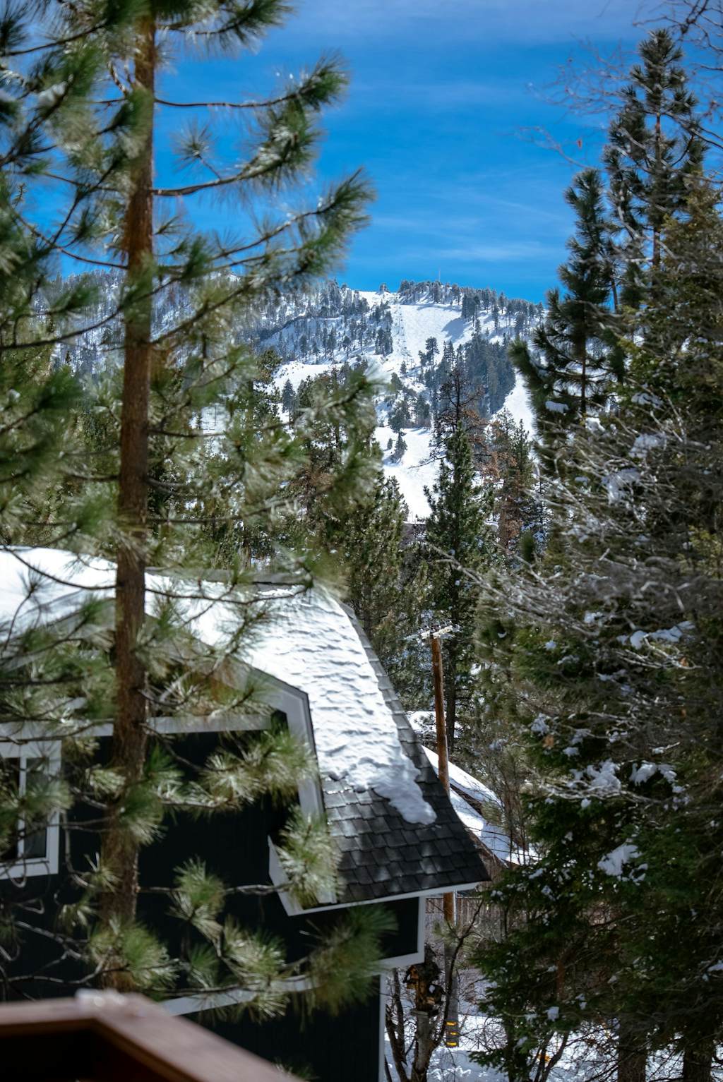 Chipmunk Treehouse Resort Chalet at Big Bear