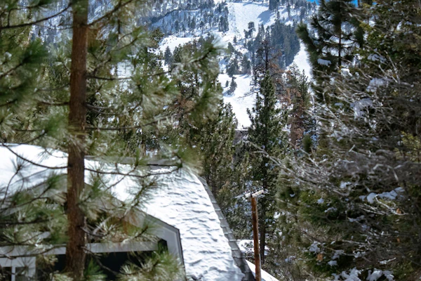 Chipmunk Treehouse Resort Chalet at Big Bear