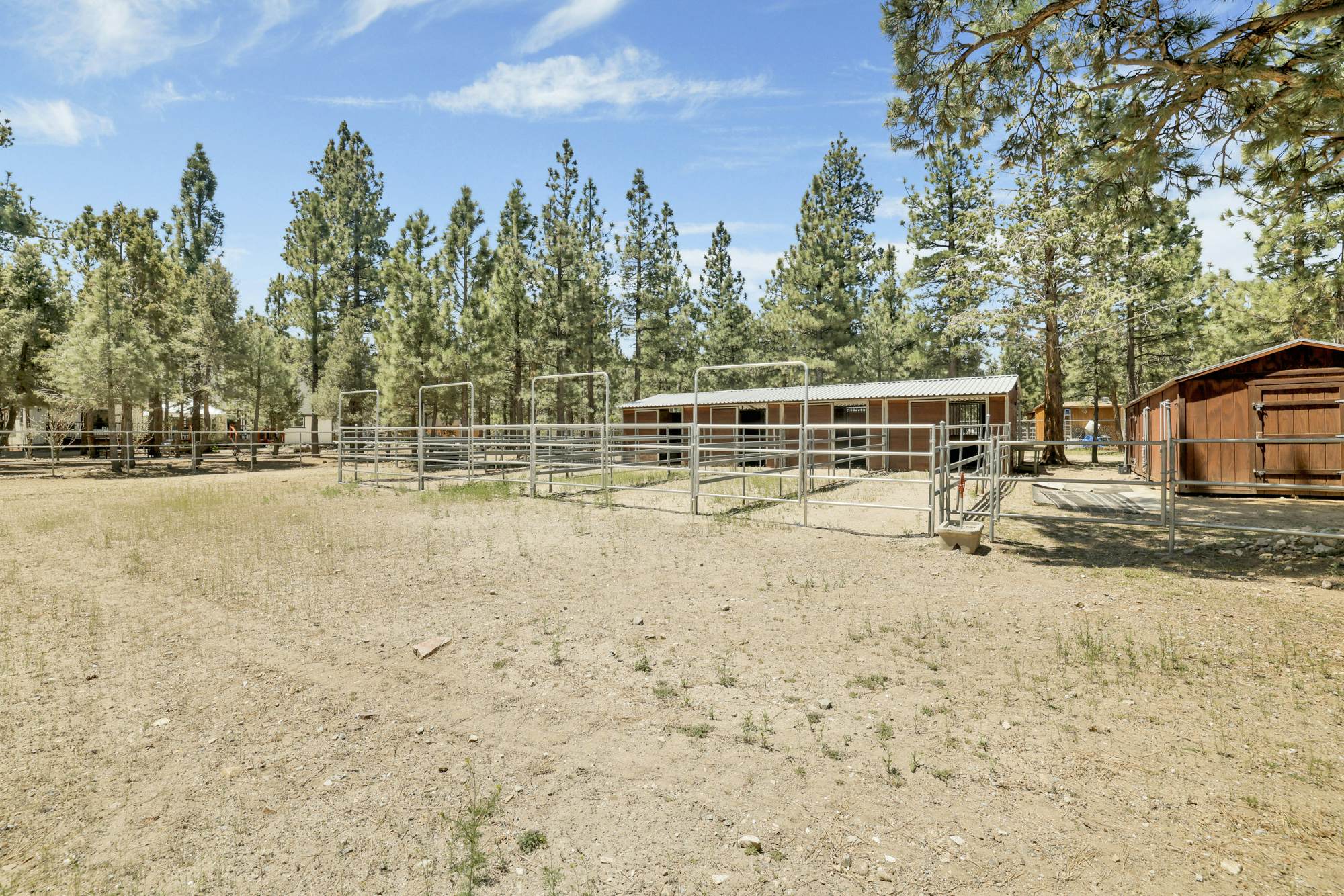 2005- One Hundred Pines Ranch