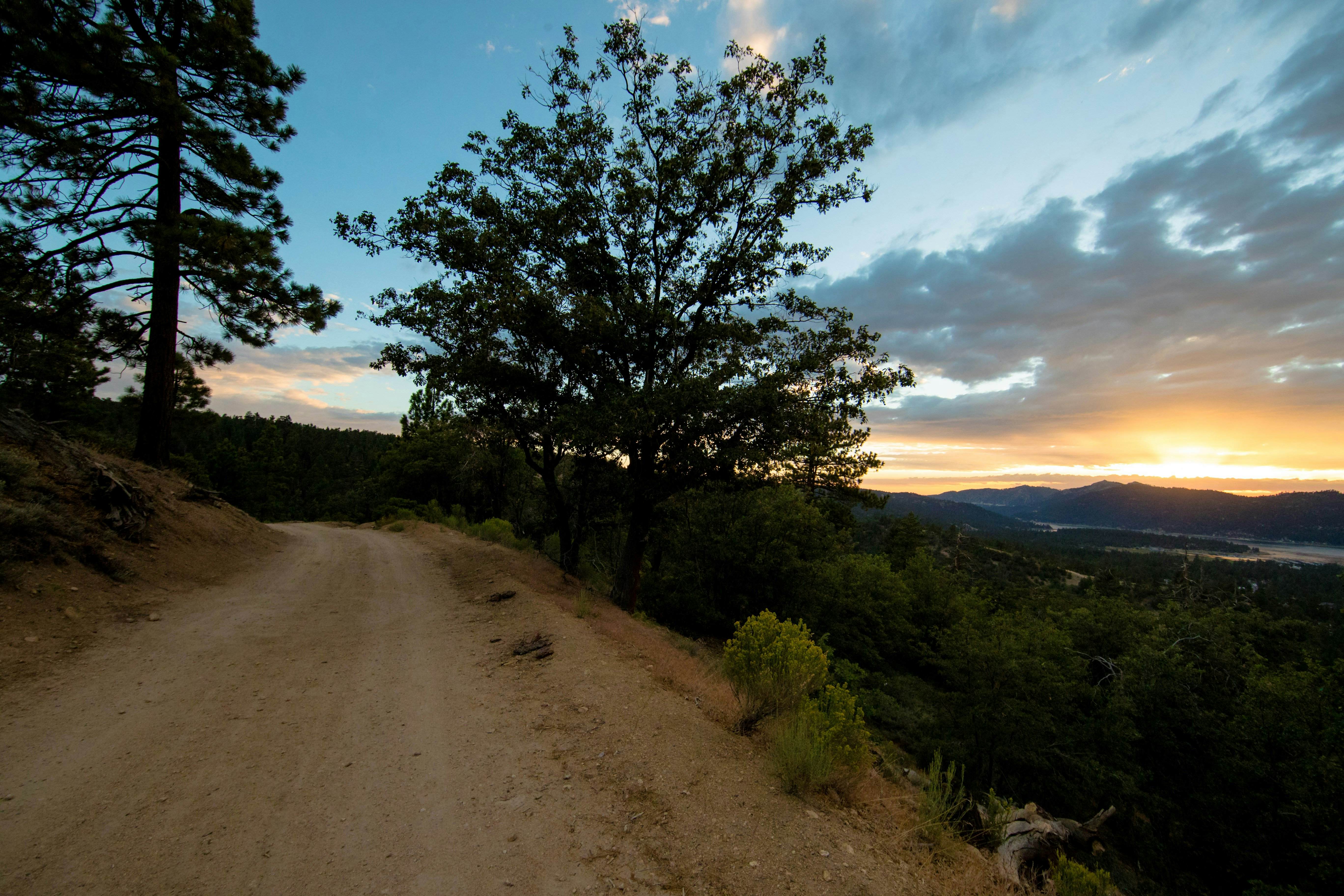 2096-Pinglewood Cabin