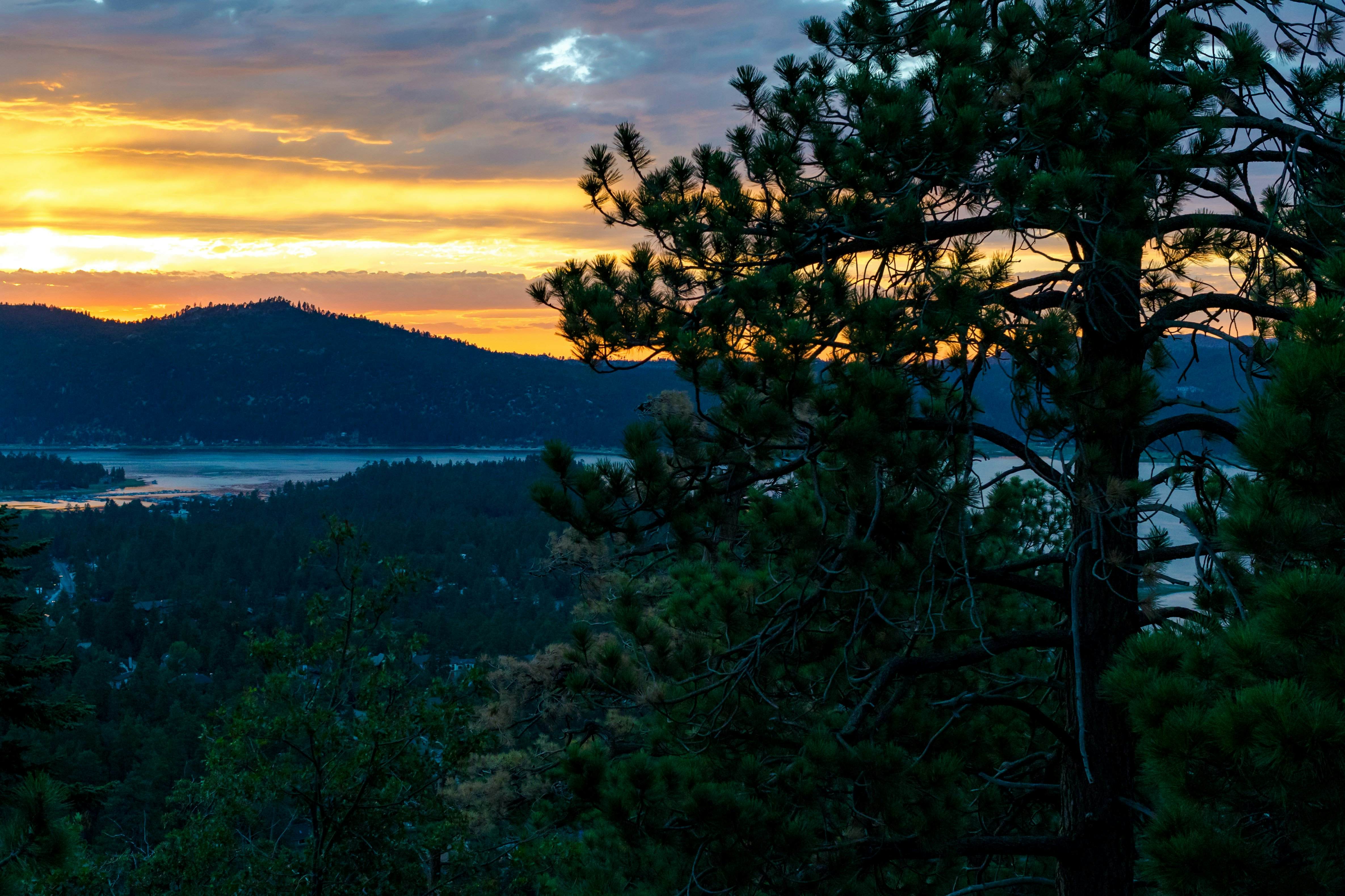 2096-Pinglewood Cabin