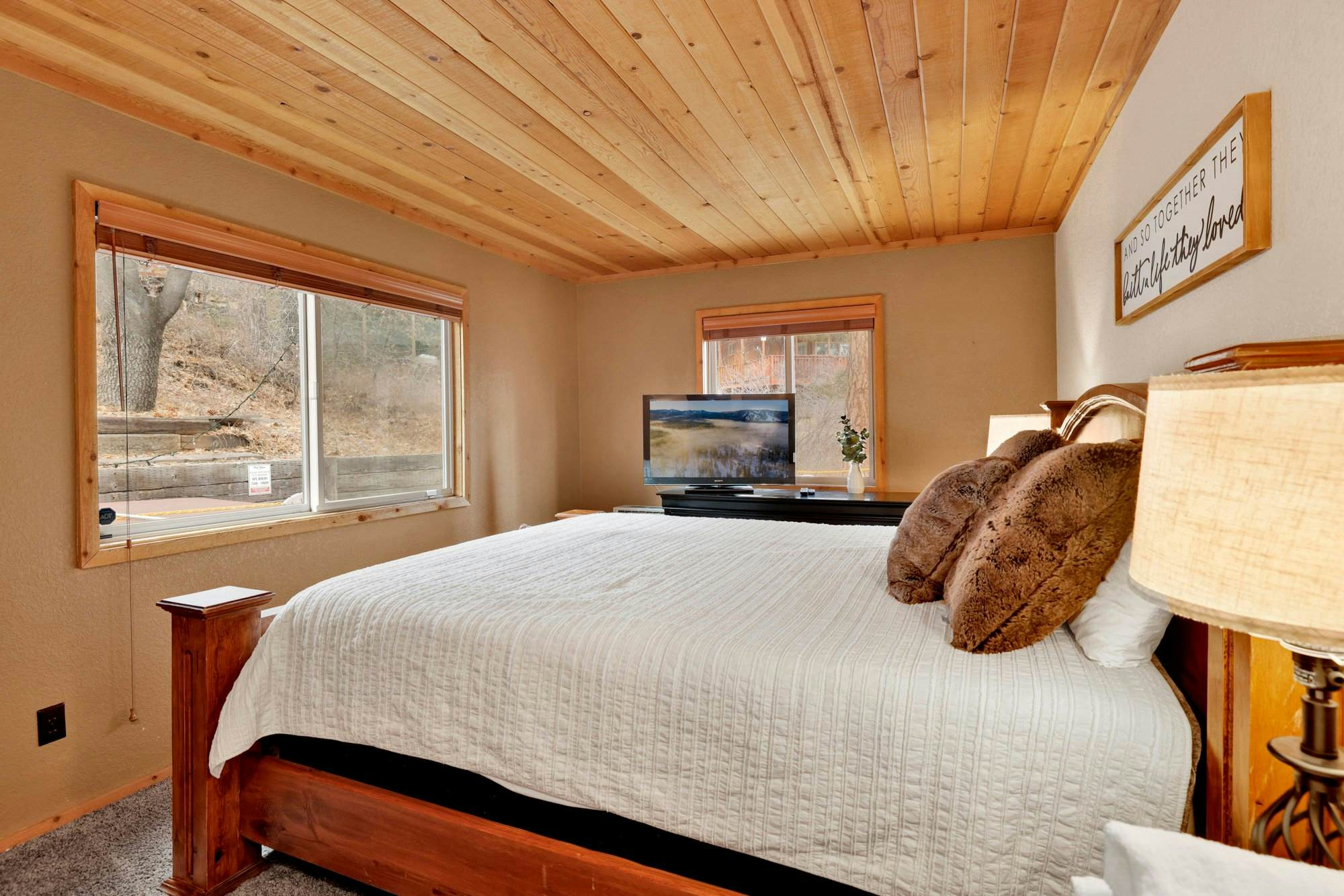 2166-Alpine Adventure