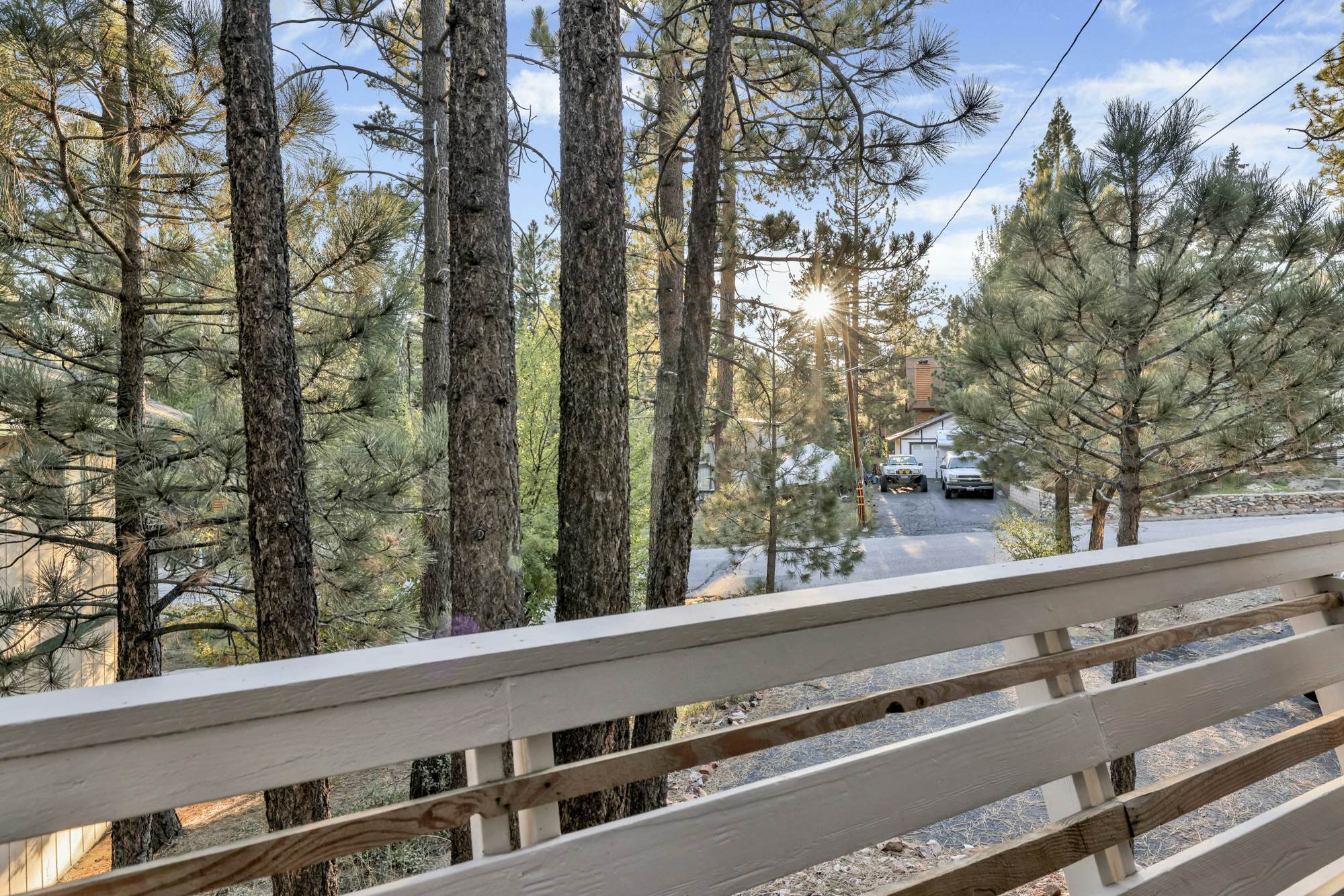 2190-Fox & Bears Retreat