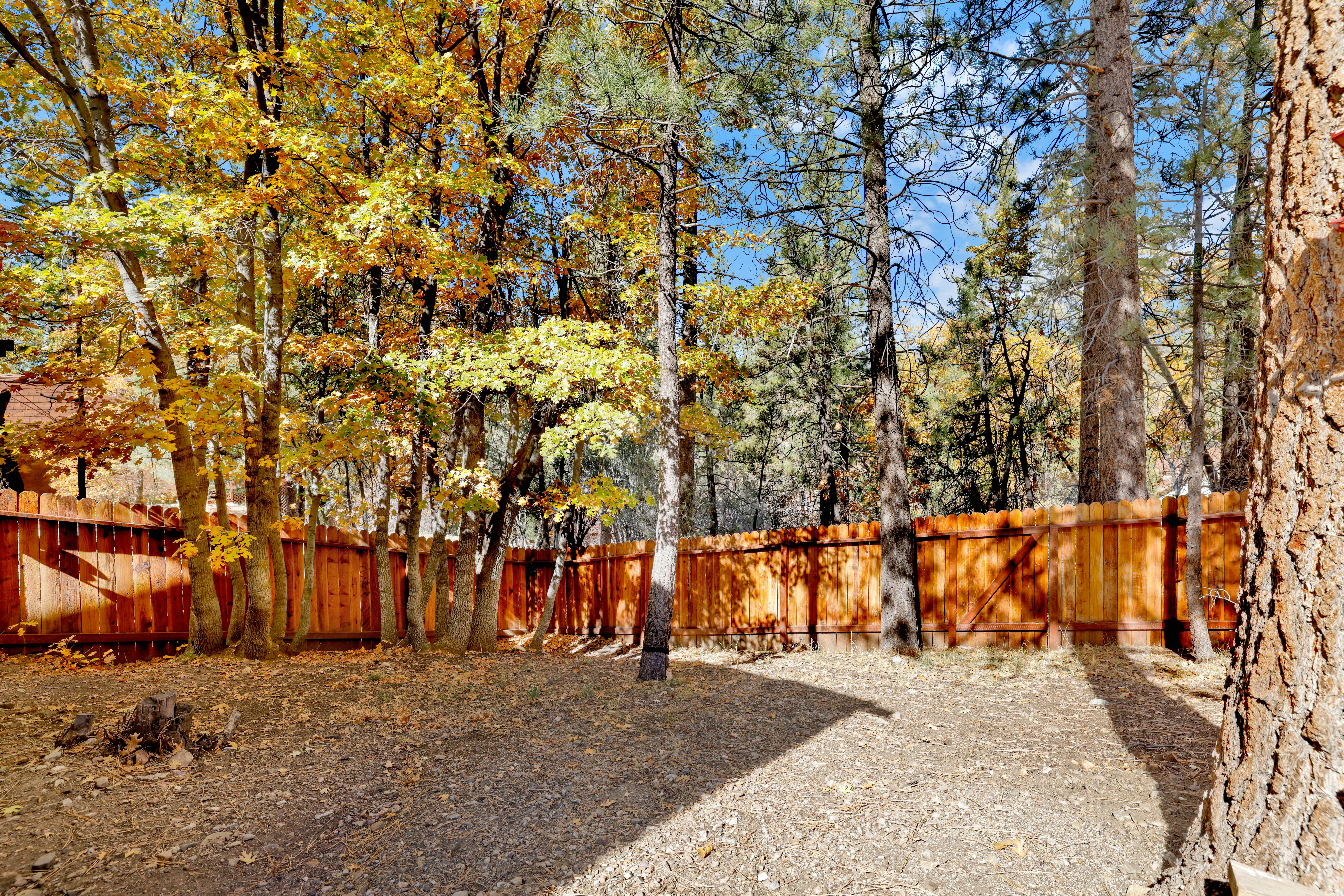 2215-Ski View Chalet