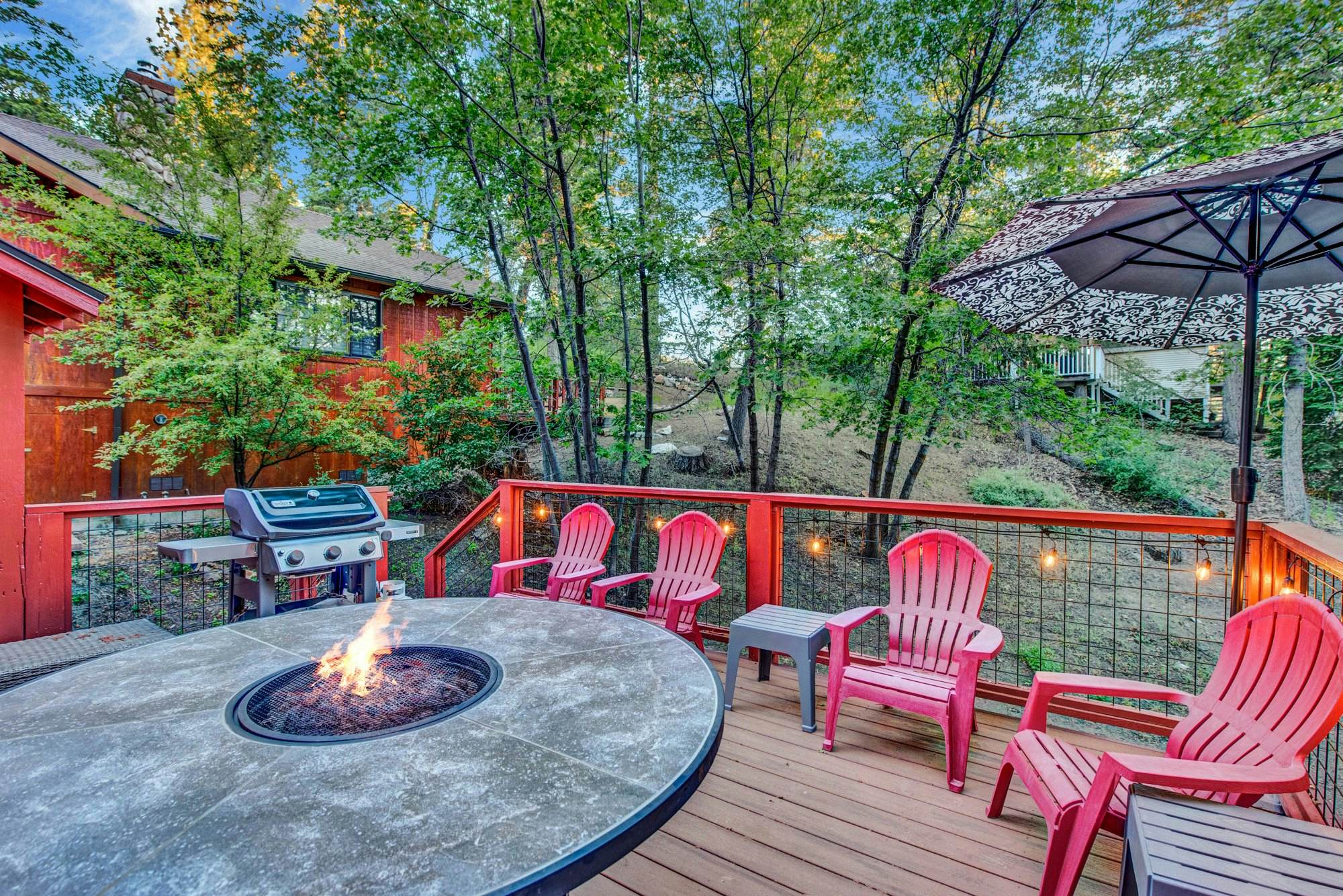 2335-Silvertip Pines