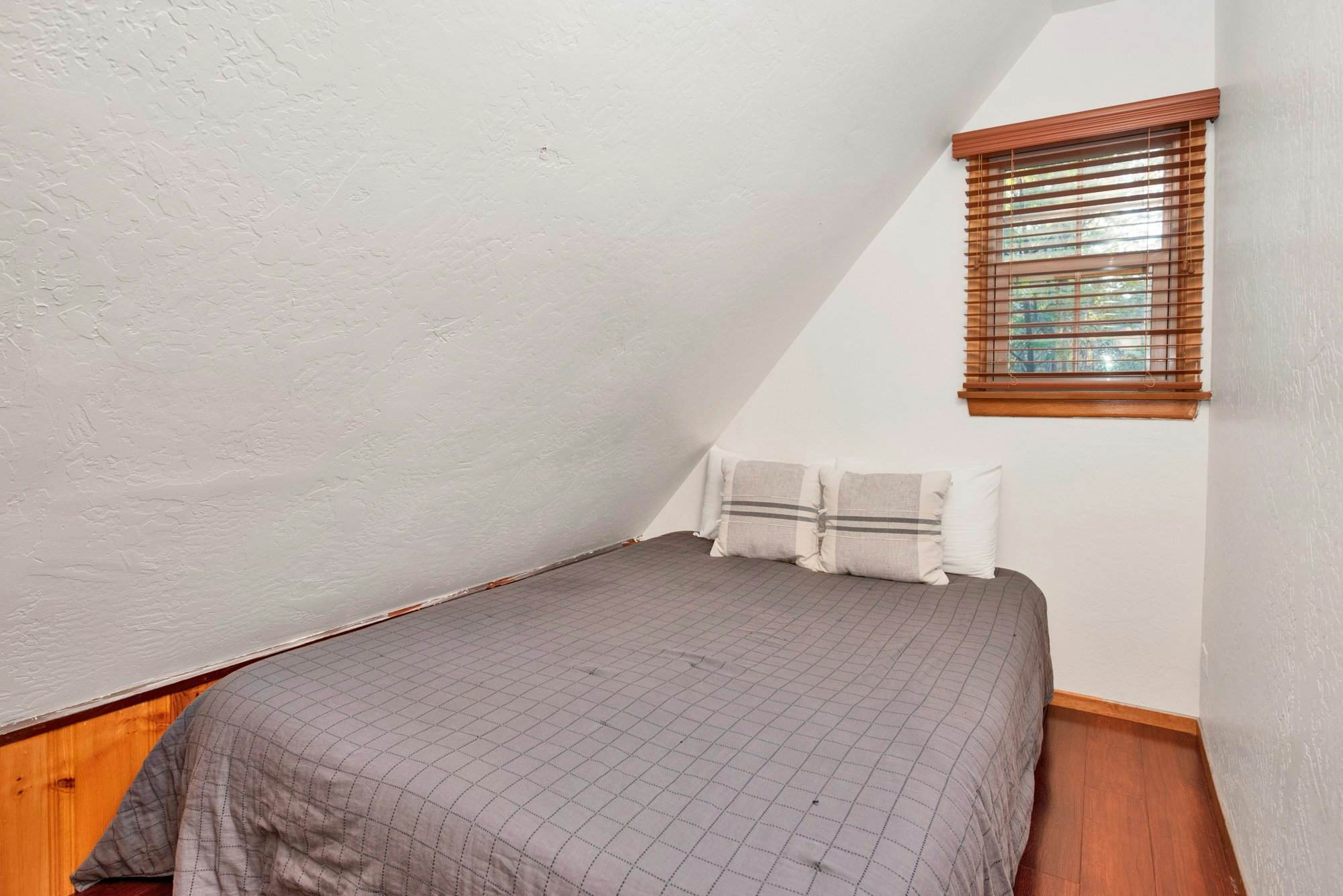 2335-Silvertip Pines