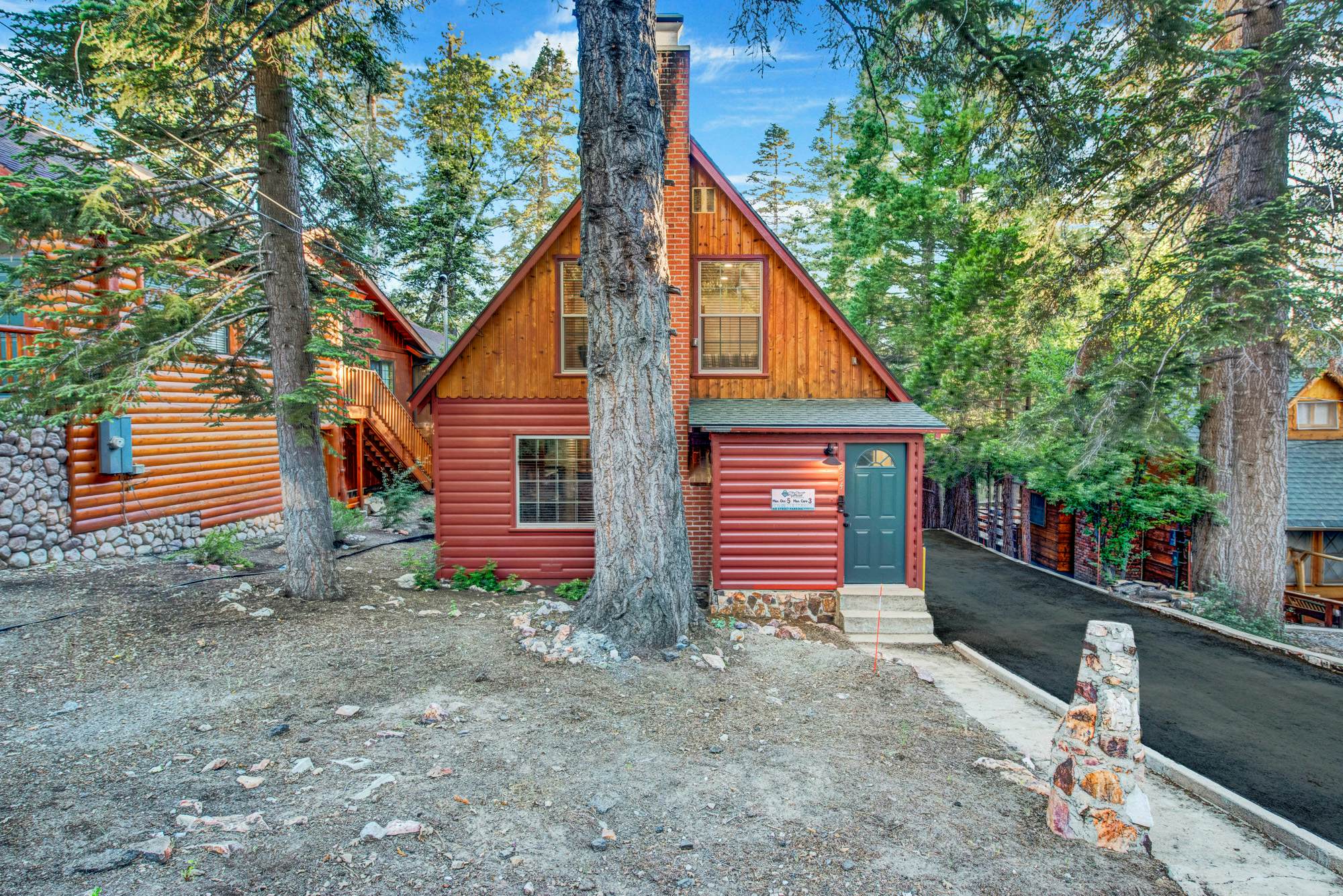 2335-Silvertip Pines