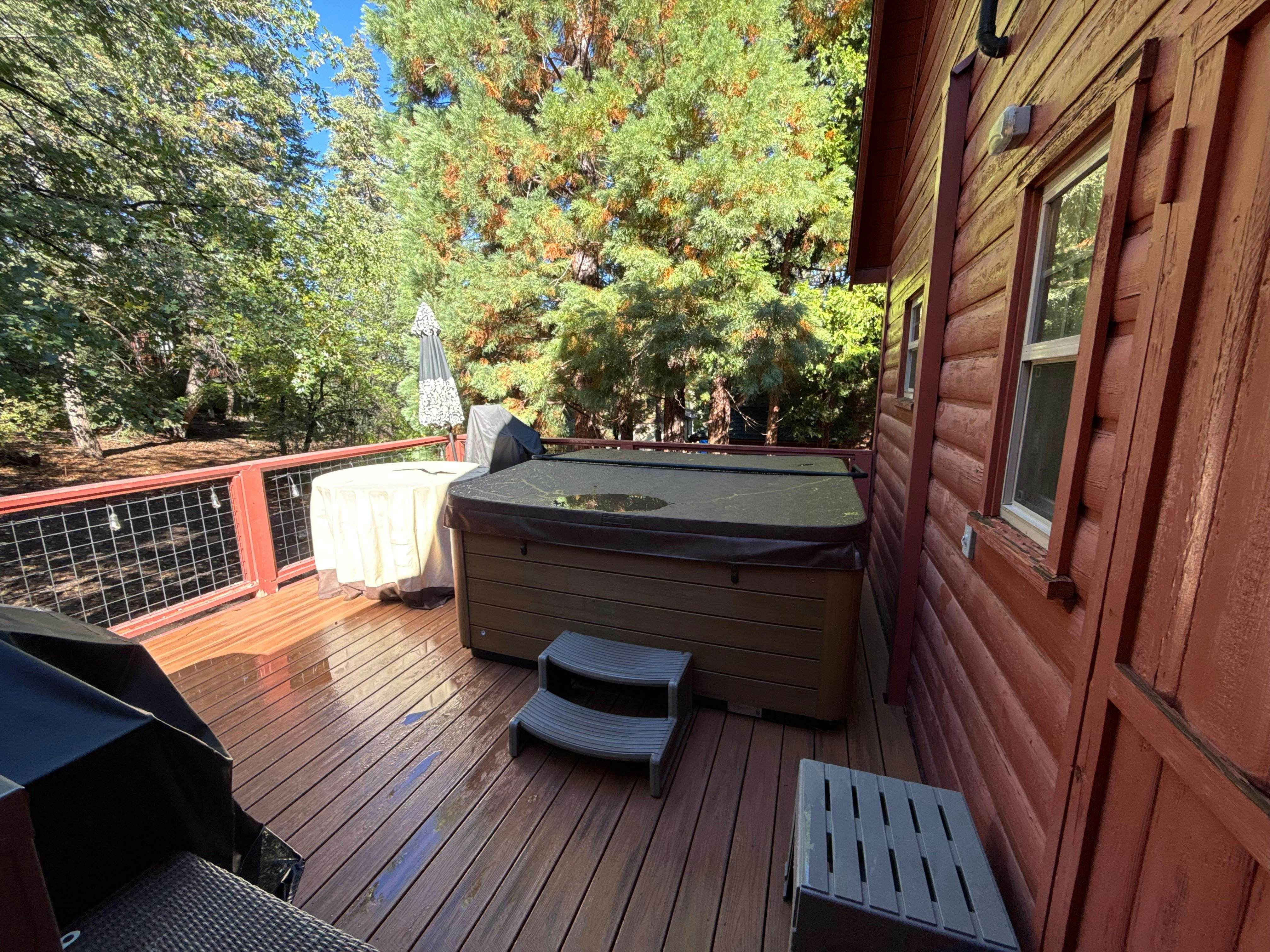 2335-Silvertip Pines