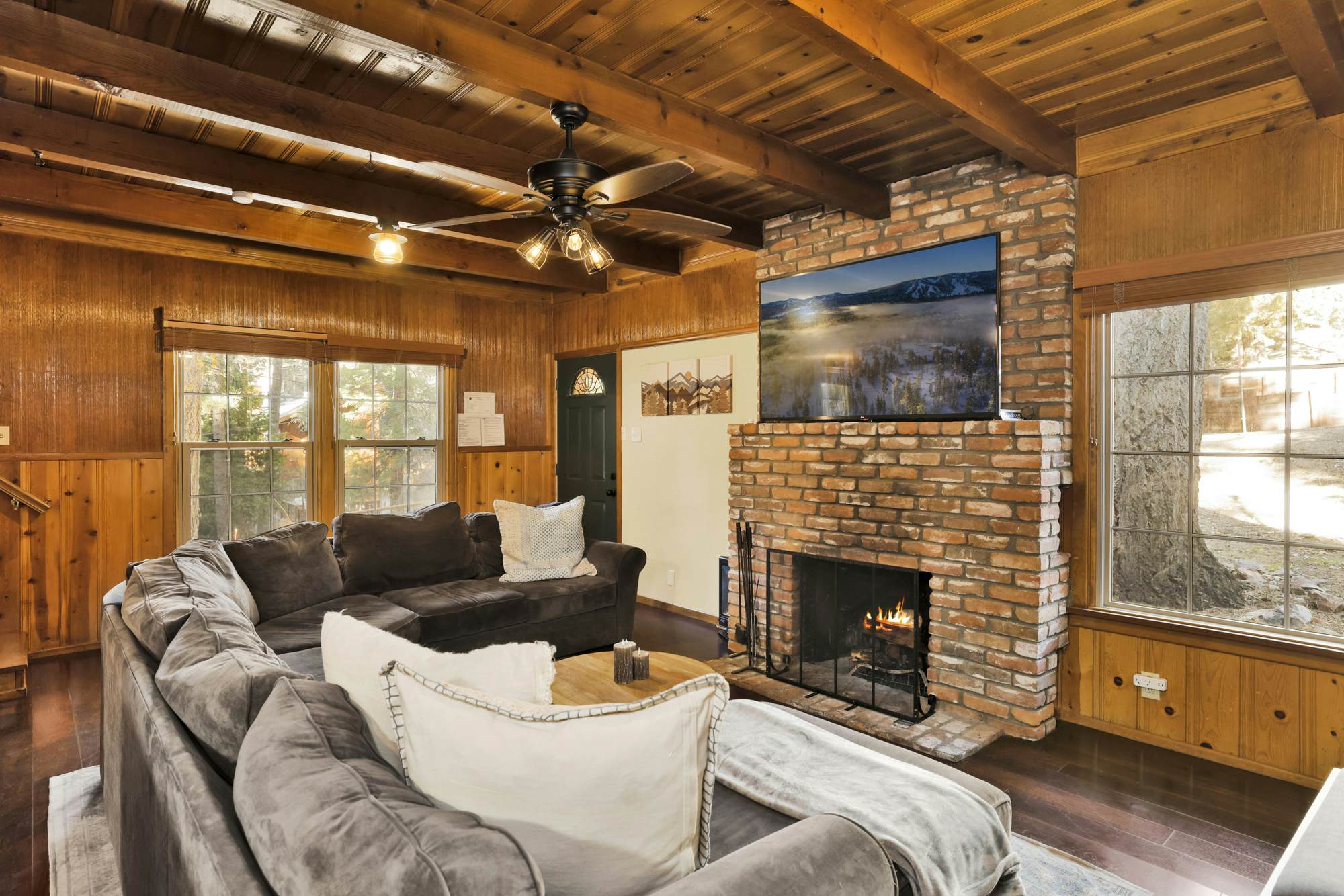 2335-Silvertip Pines