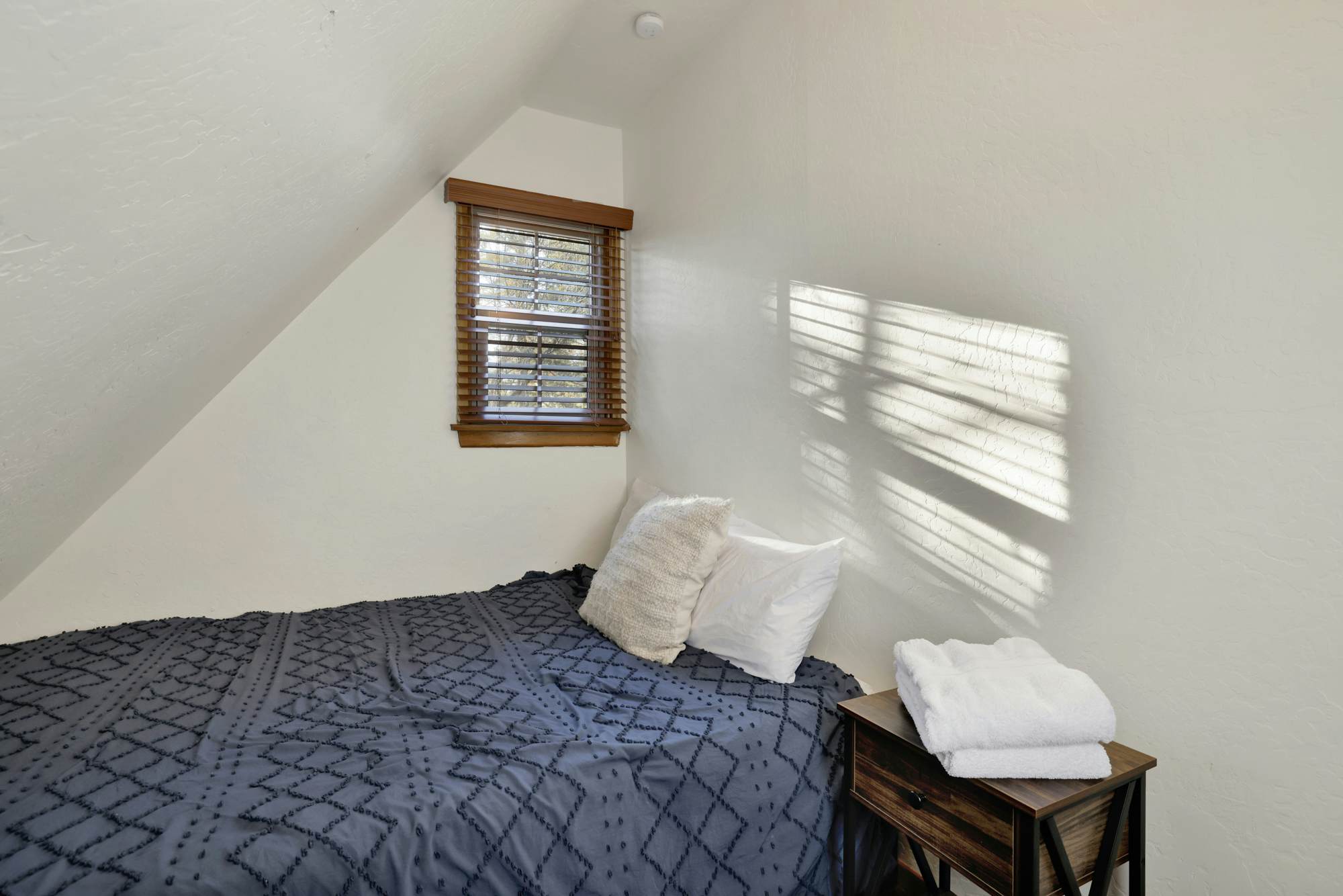 2335-Silvertip Pines