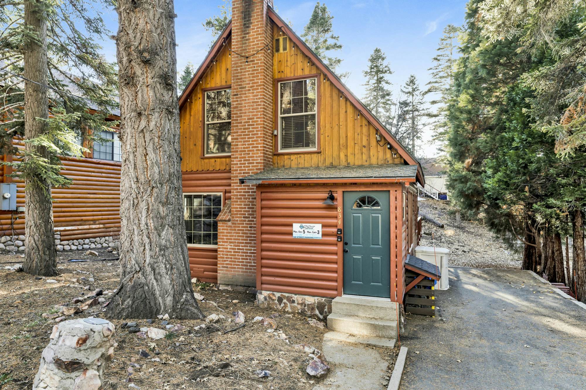 2335-Silvertip Pines