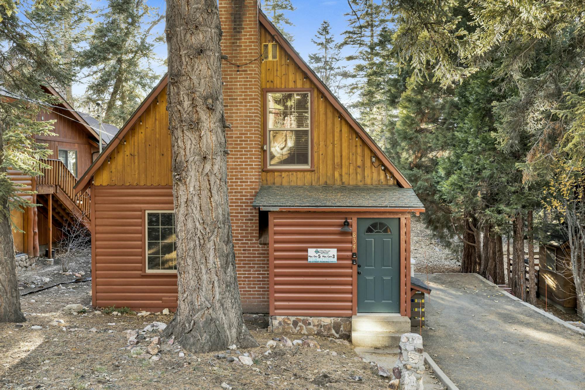 2335-Silvertip Pines
