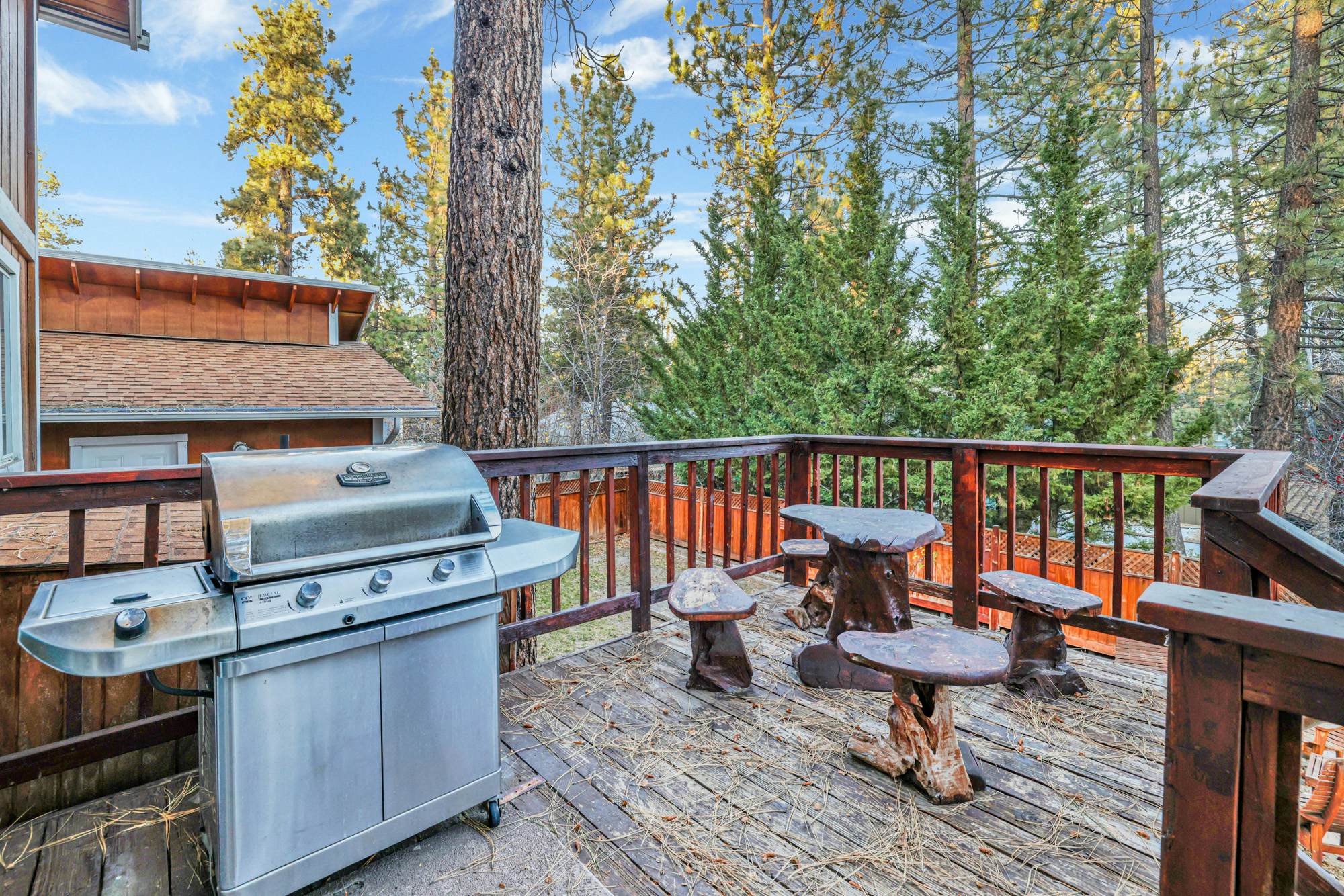 2384-The Cozy Castle