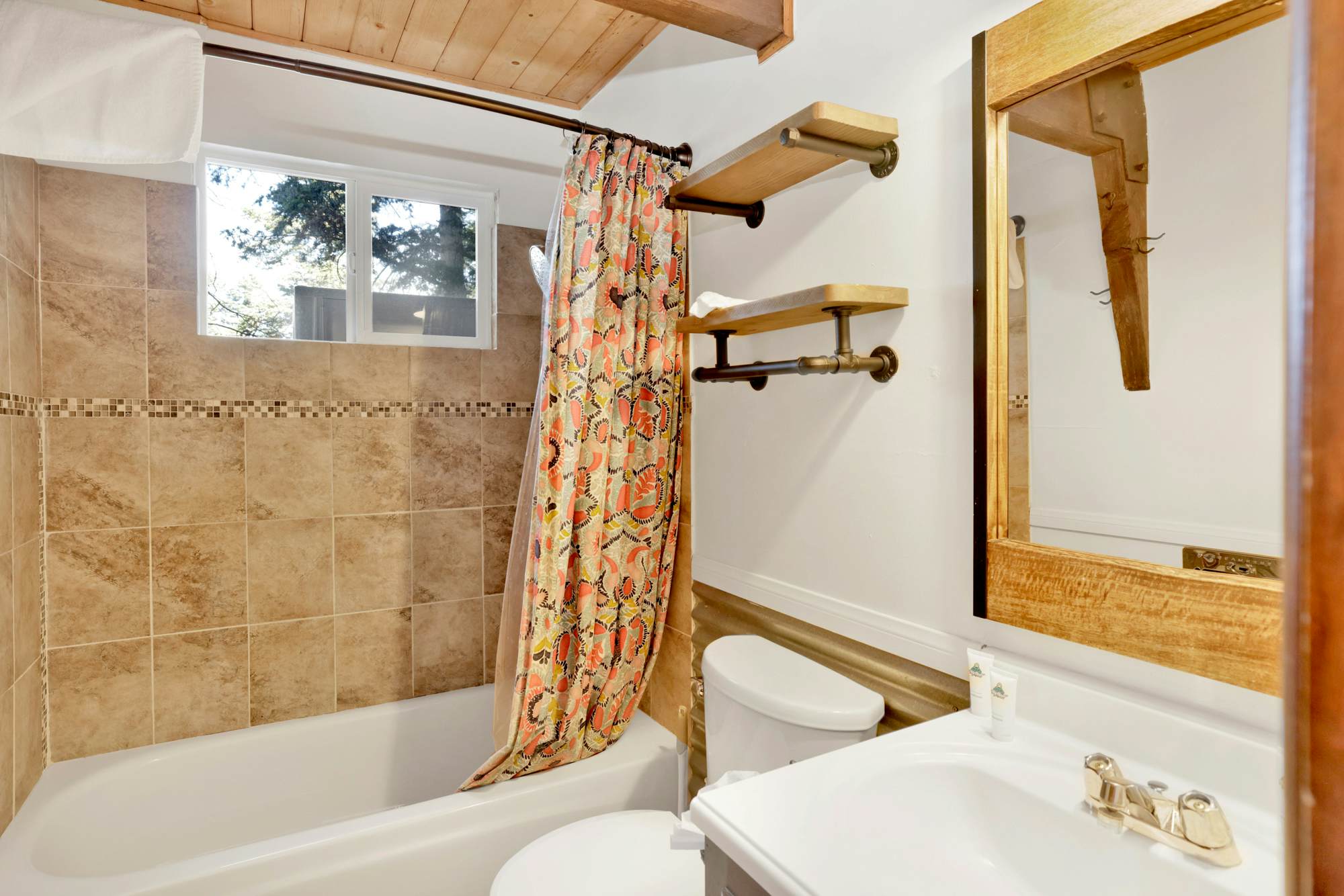 2413-Natures Delight