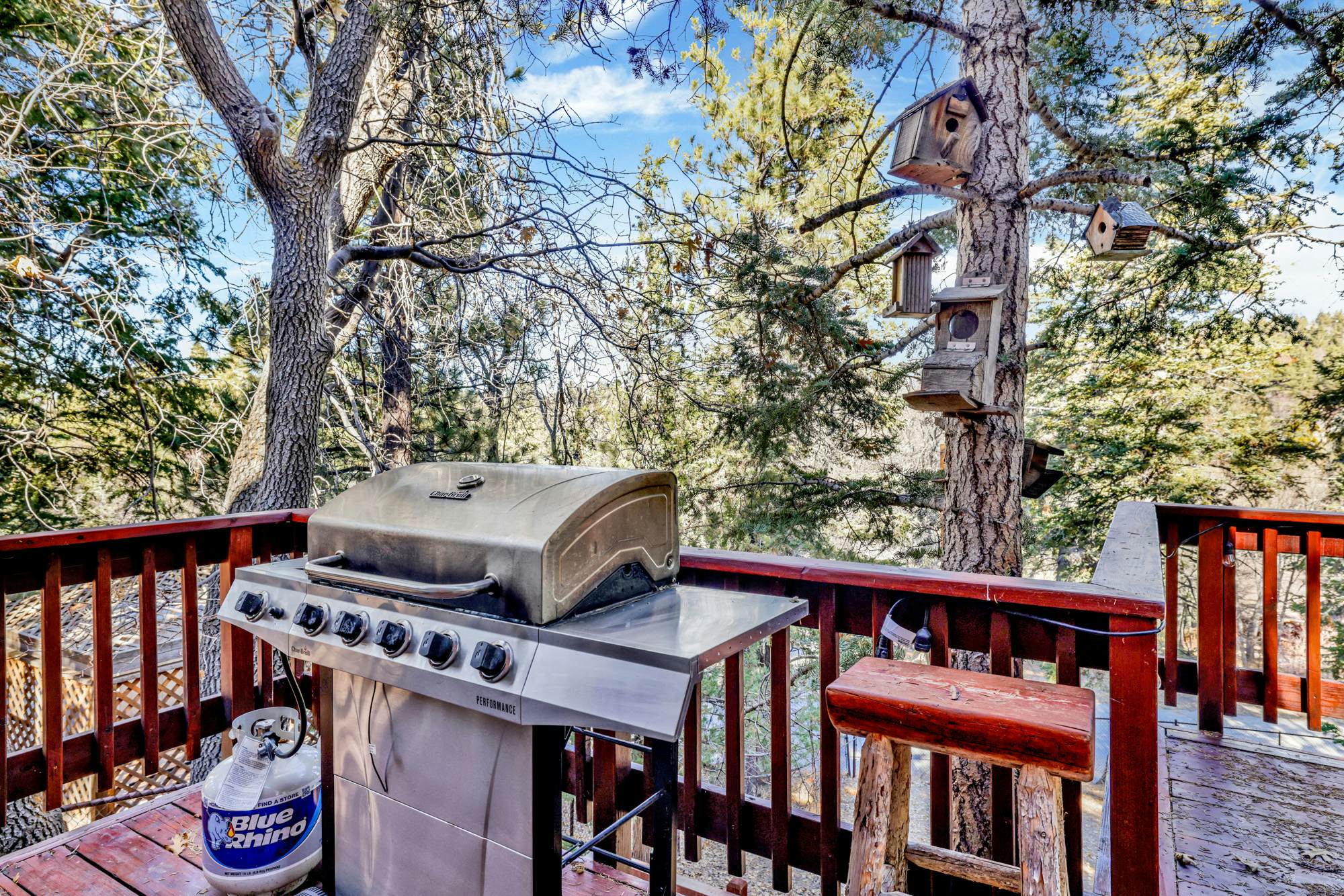 2413-Natures Delight