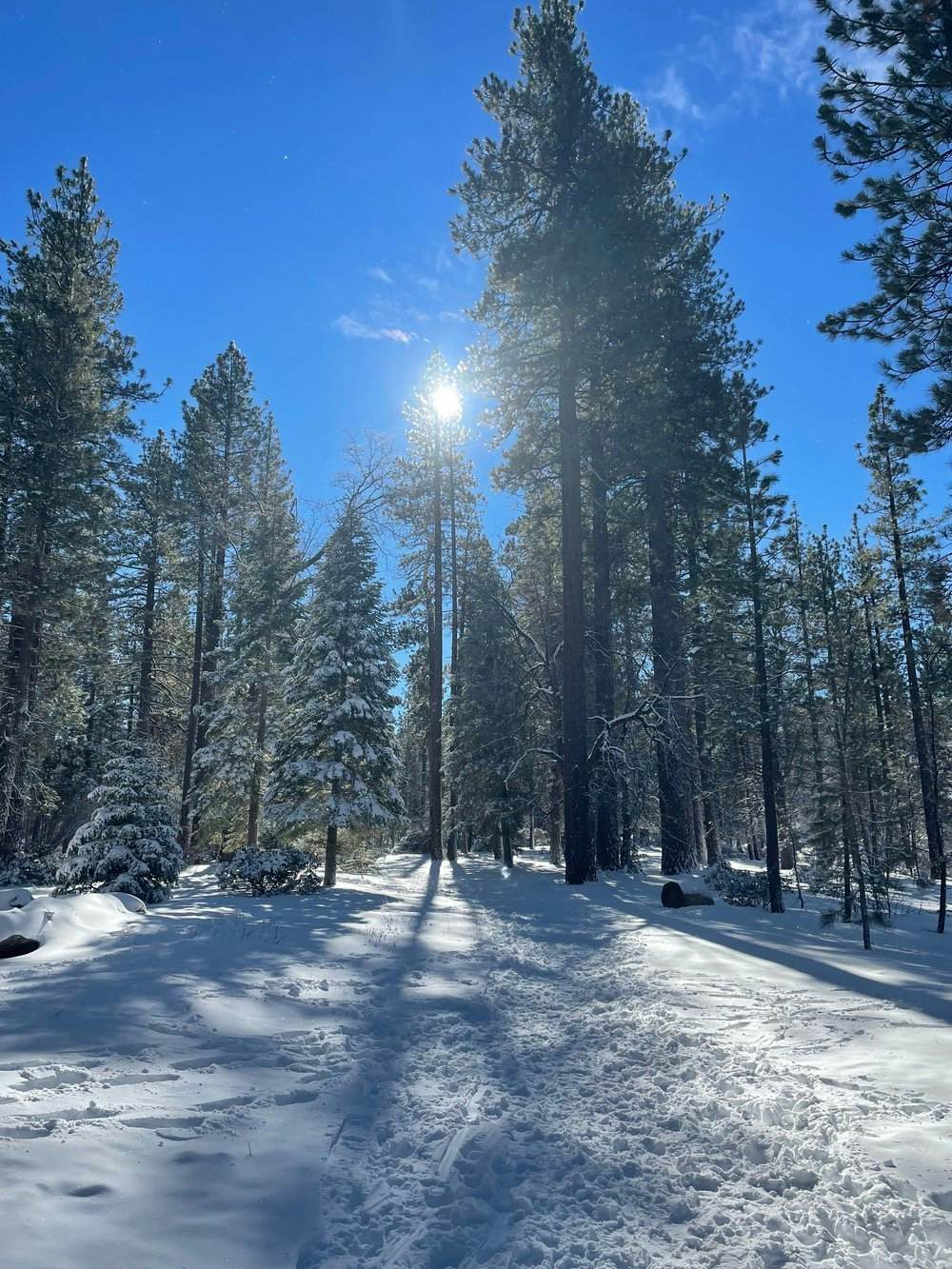 2458-Twin Pines Lodge