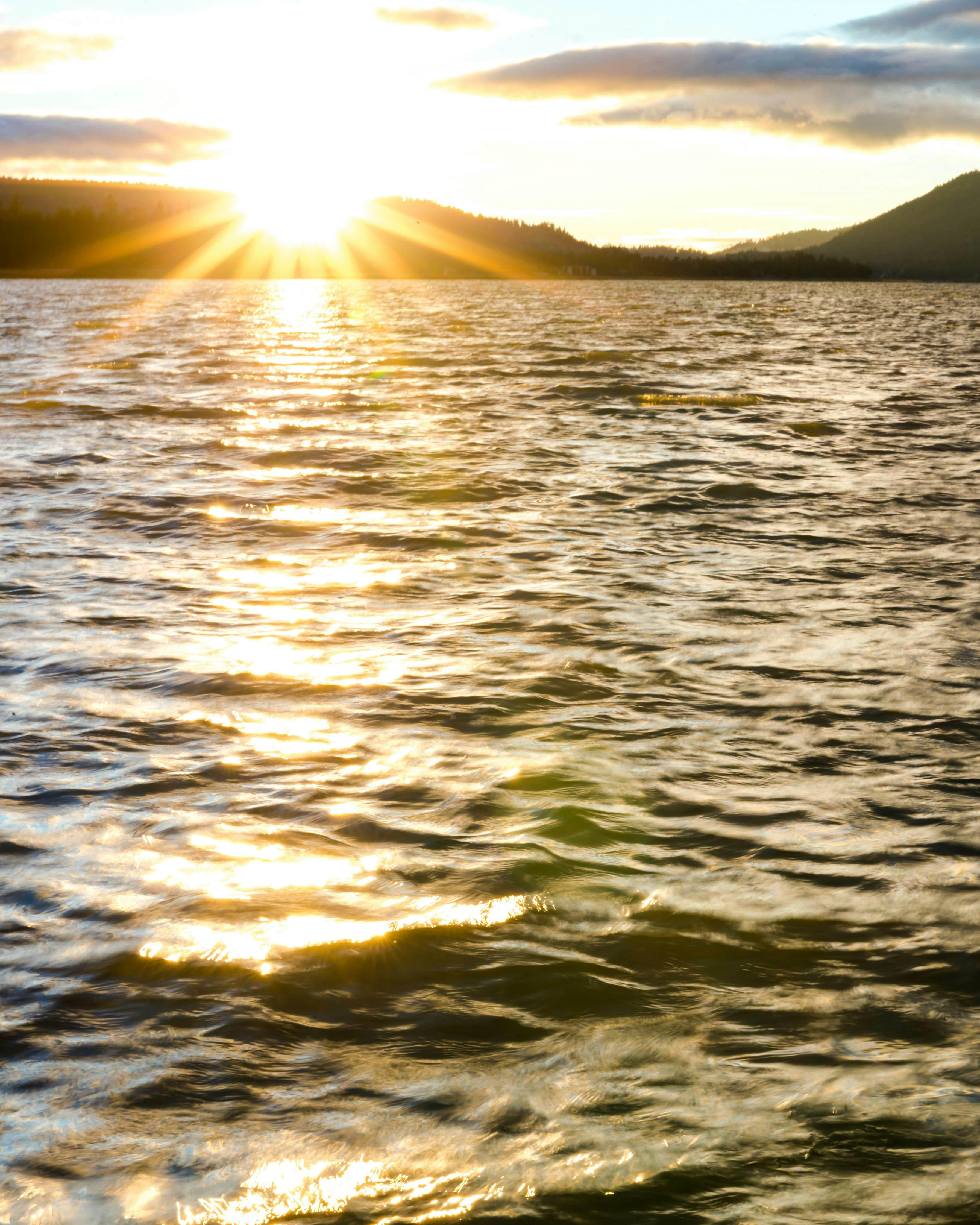 2476-Our Cabin in the Woods