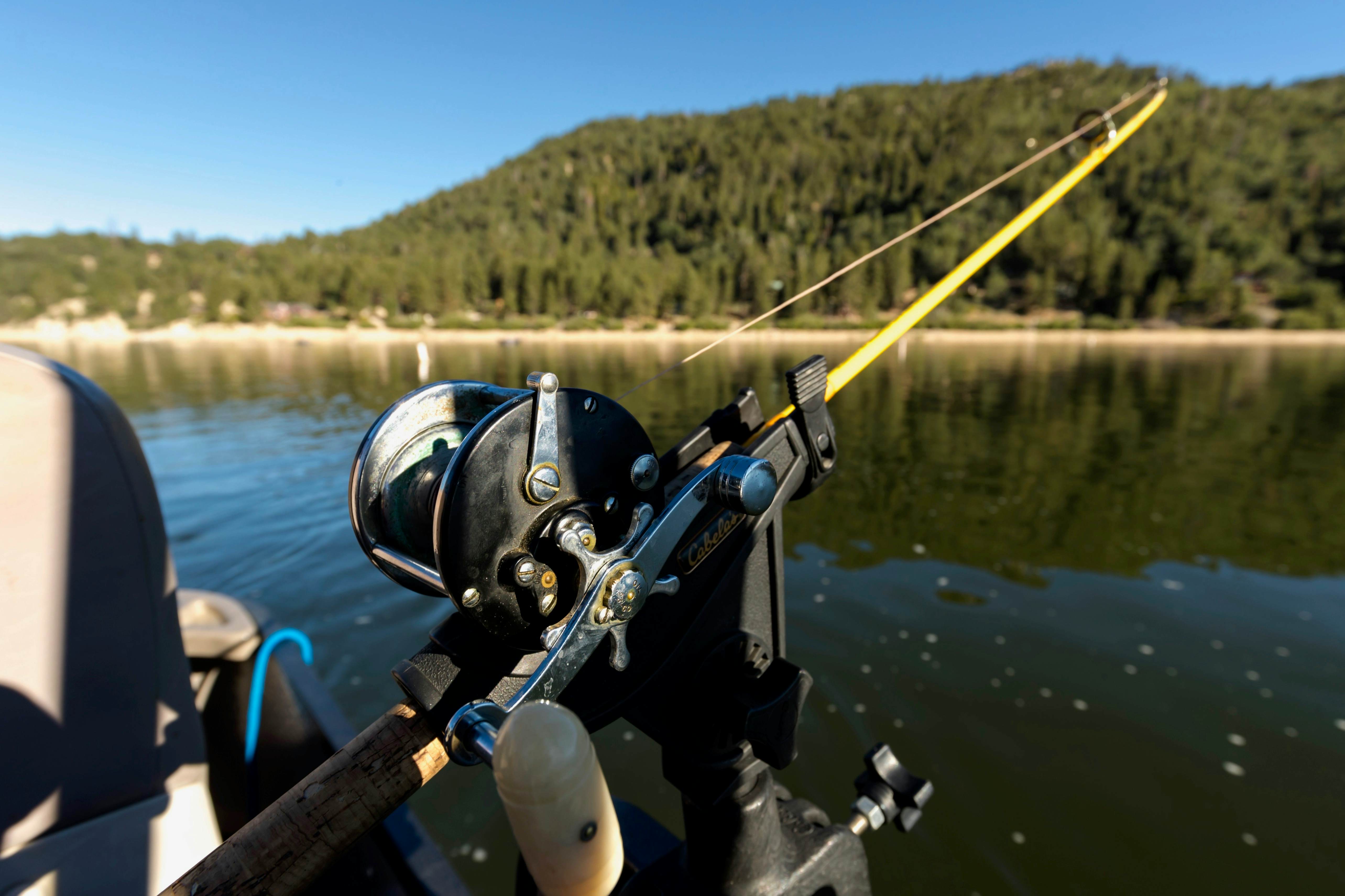 2476-Our Cabin in the Woods