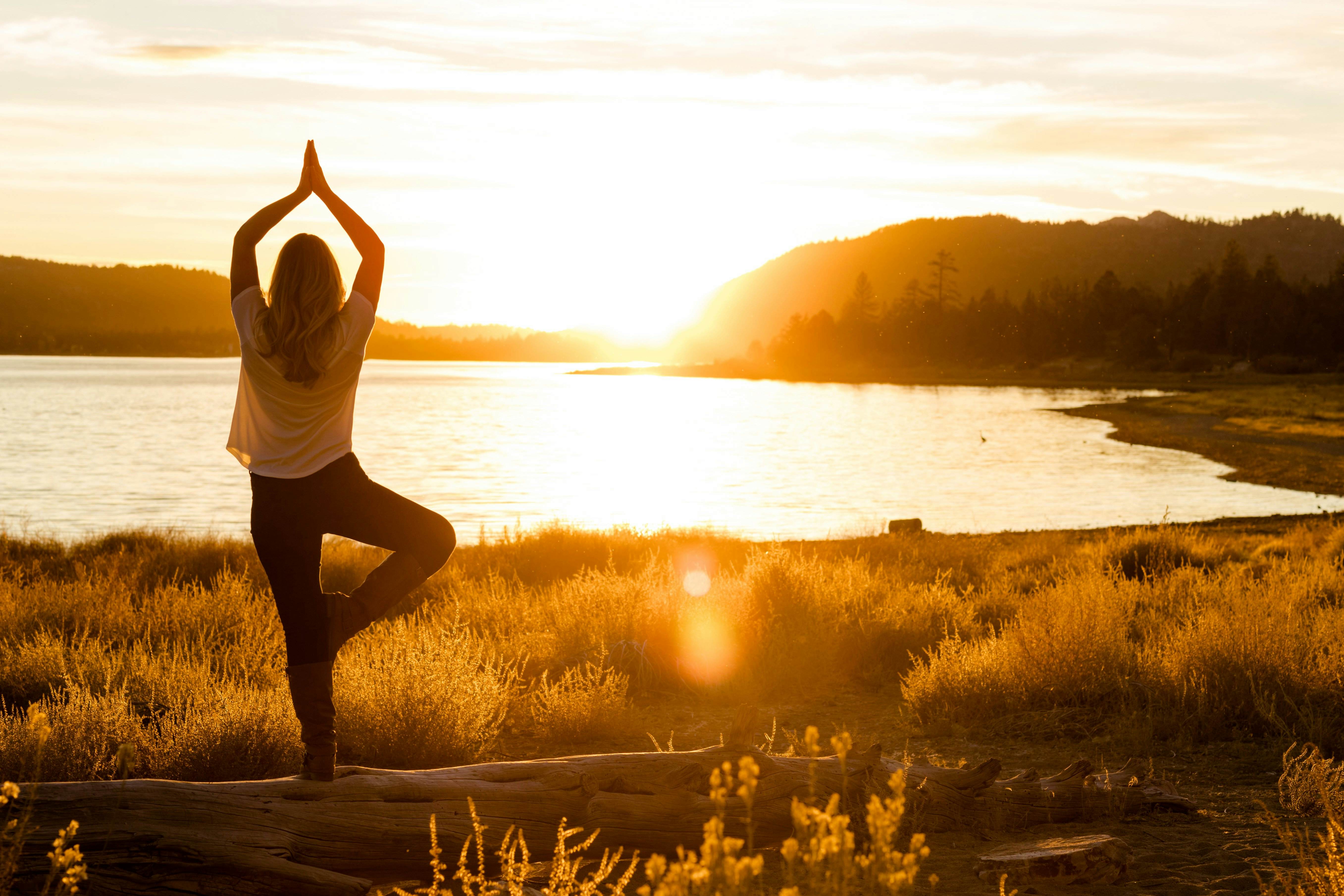 2476-Our Cabin in the Woods