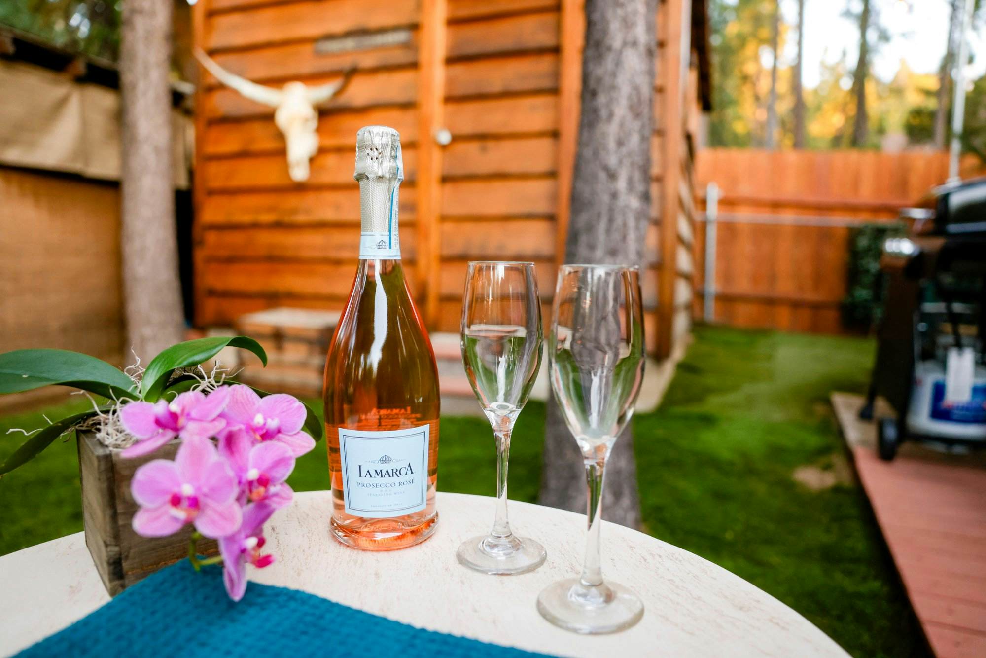 2480-The Nest on Towne Trail