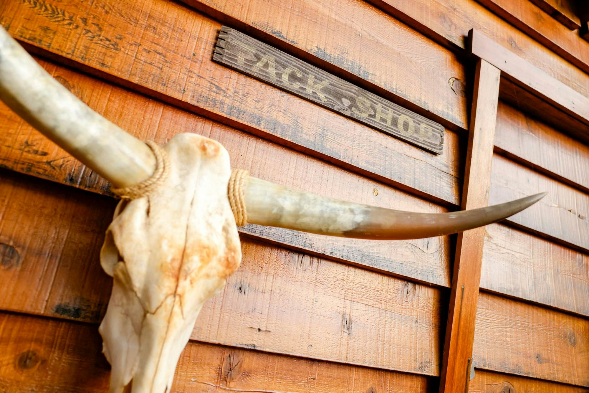 2480-The Nest on Towne Trail