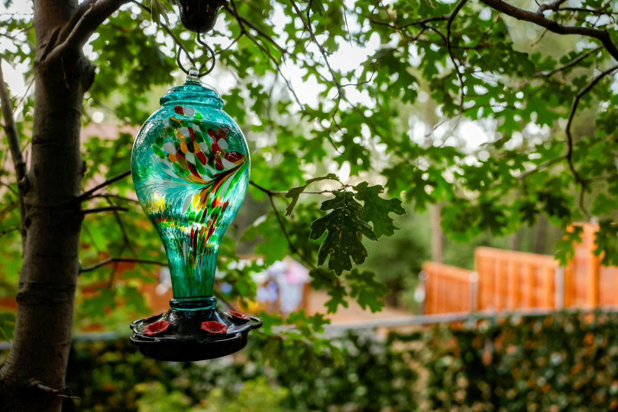 2480-The Nest on Towne Trail