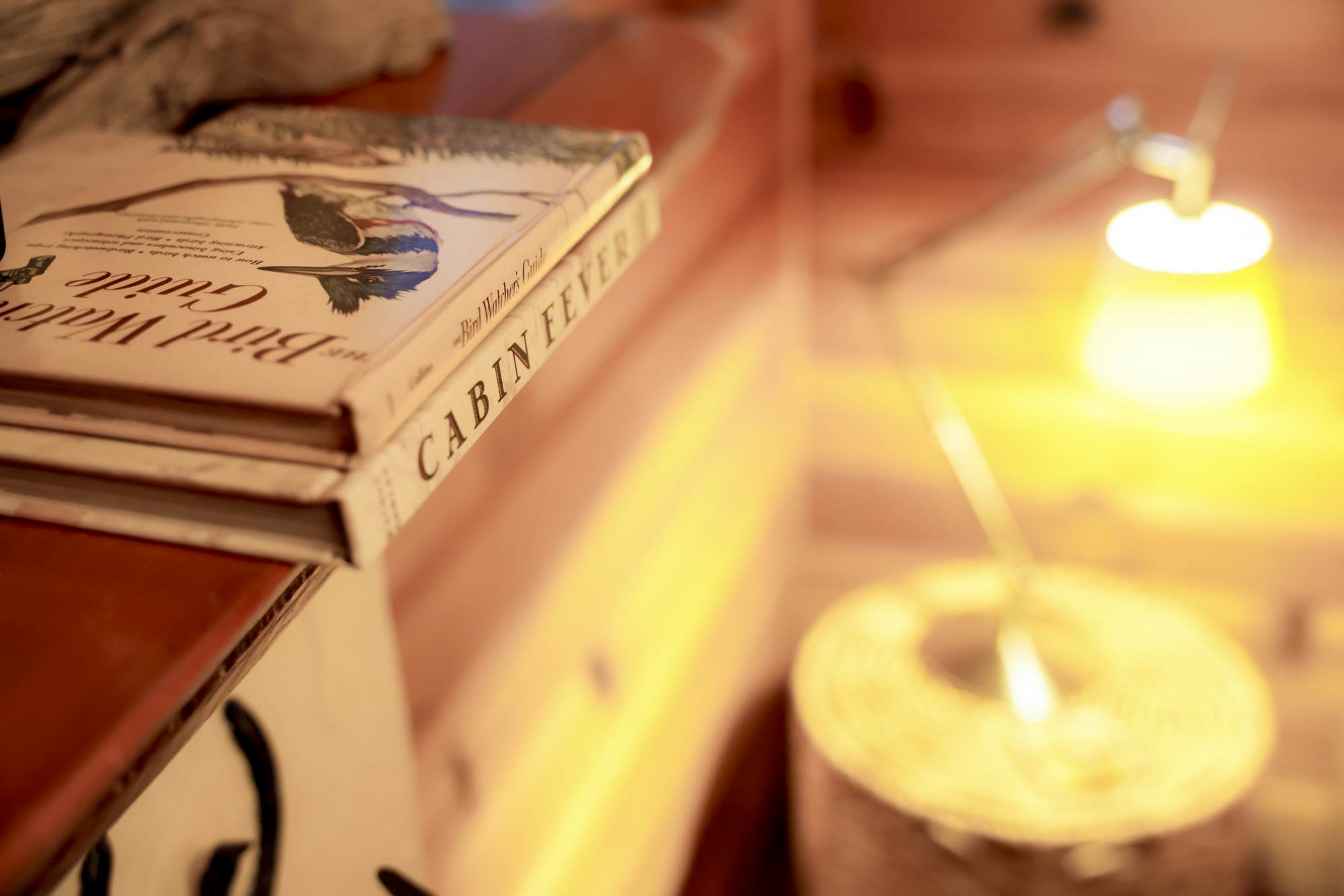 2480-The Nest on Towne Trail