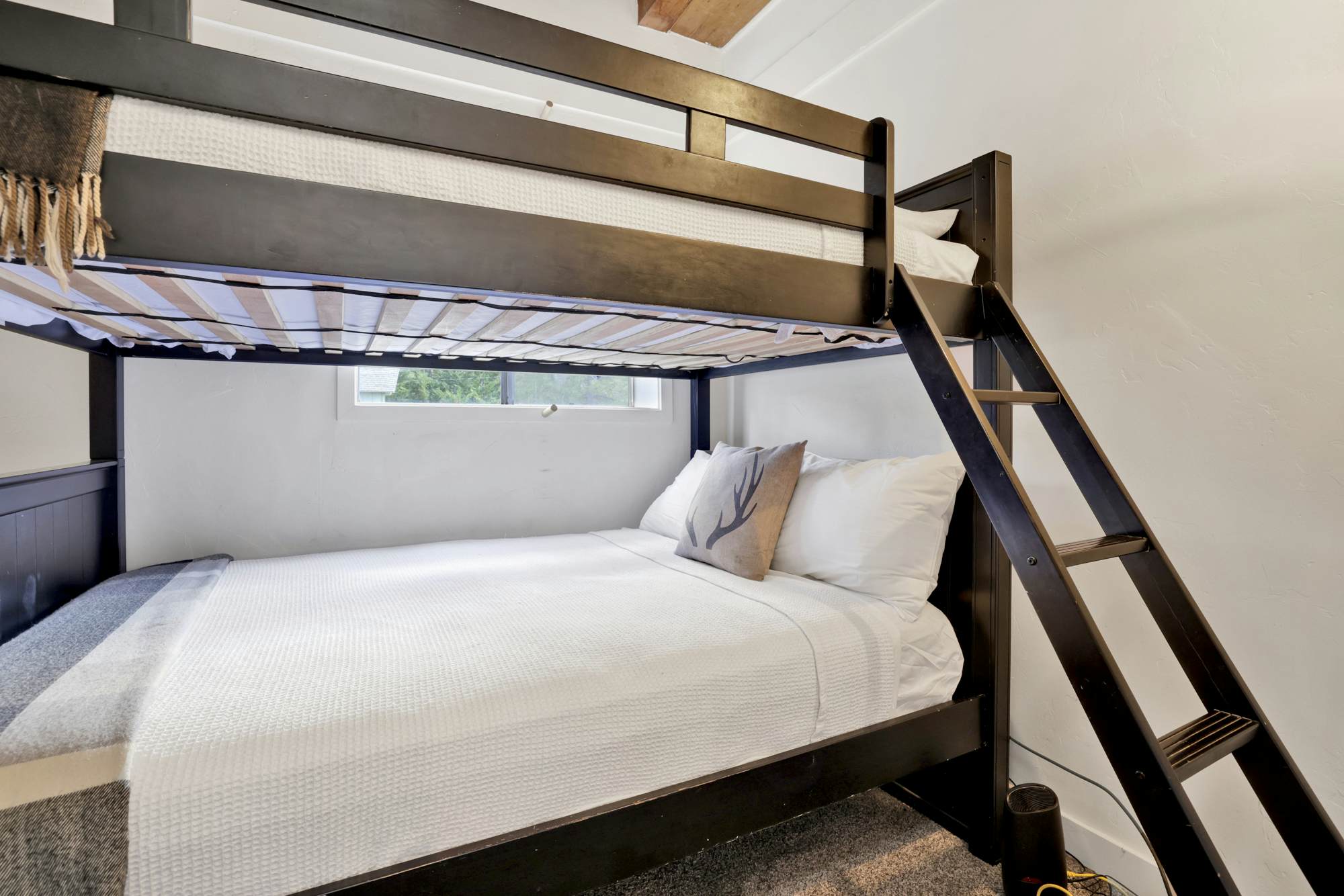 2488-Large Bear Lodge