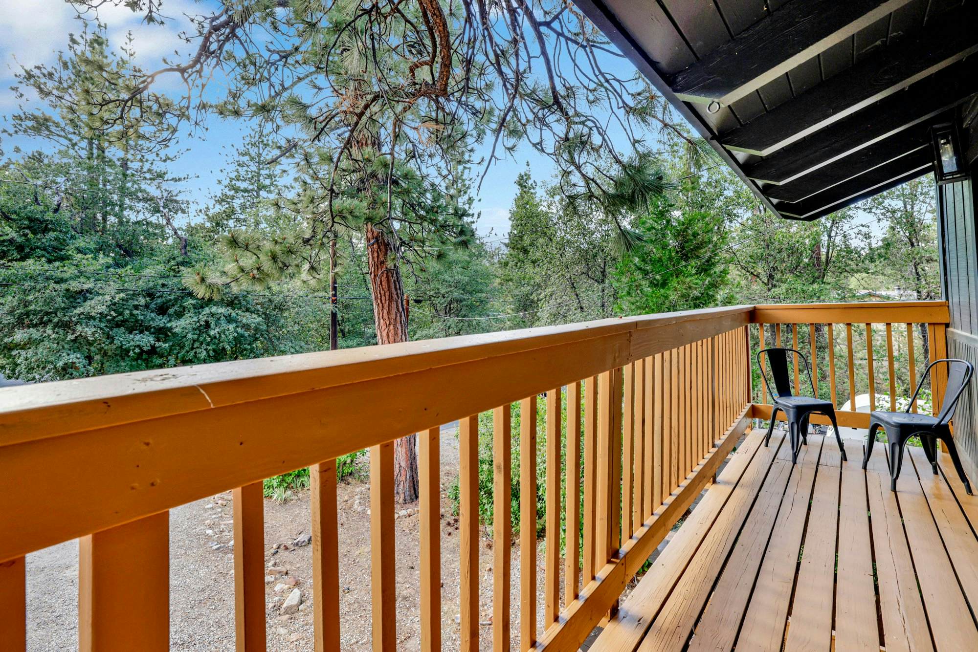 2488-Large Bear Lodge