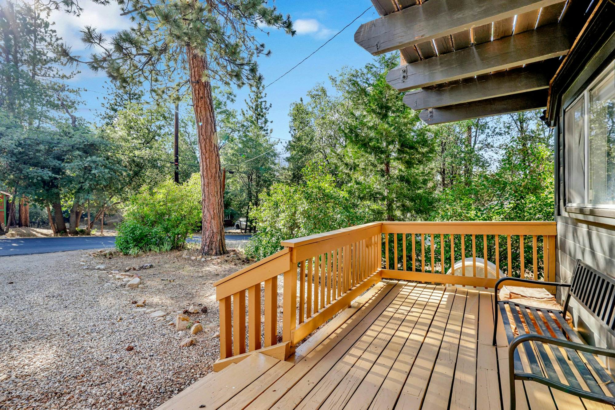 2488-Large Bear Lodge