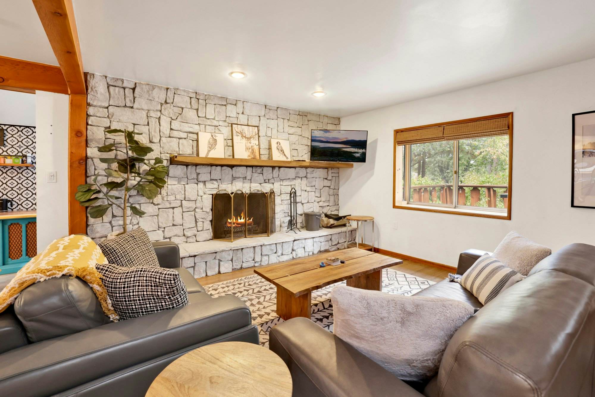 2493-Sugar Bear Pines