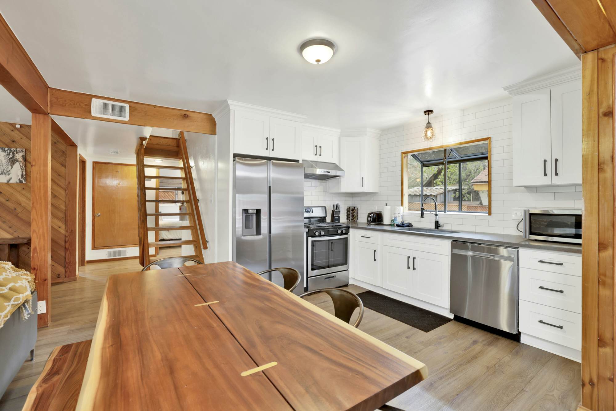 2493-Sugar Bear Pines