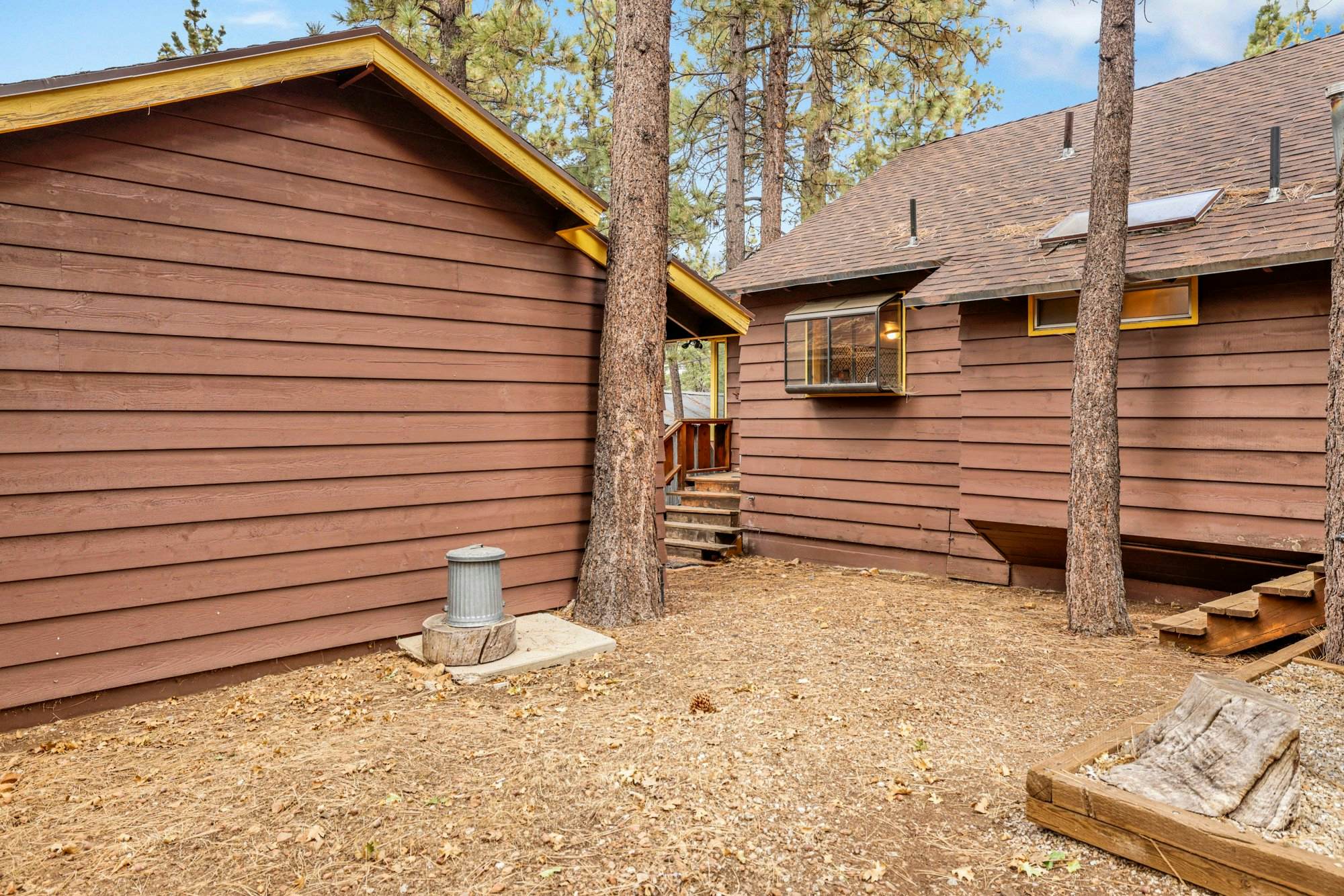 2493-Sugar Bear Pines