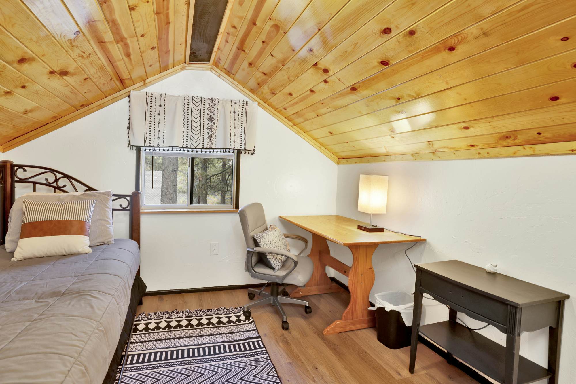 2493-Sugar Bear Pines