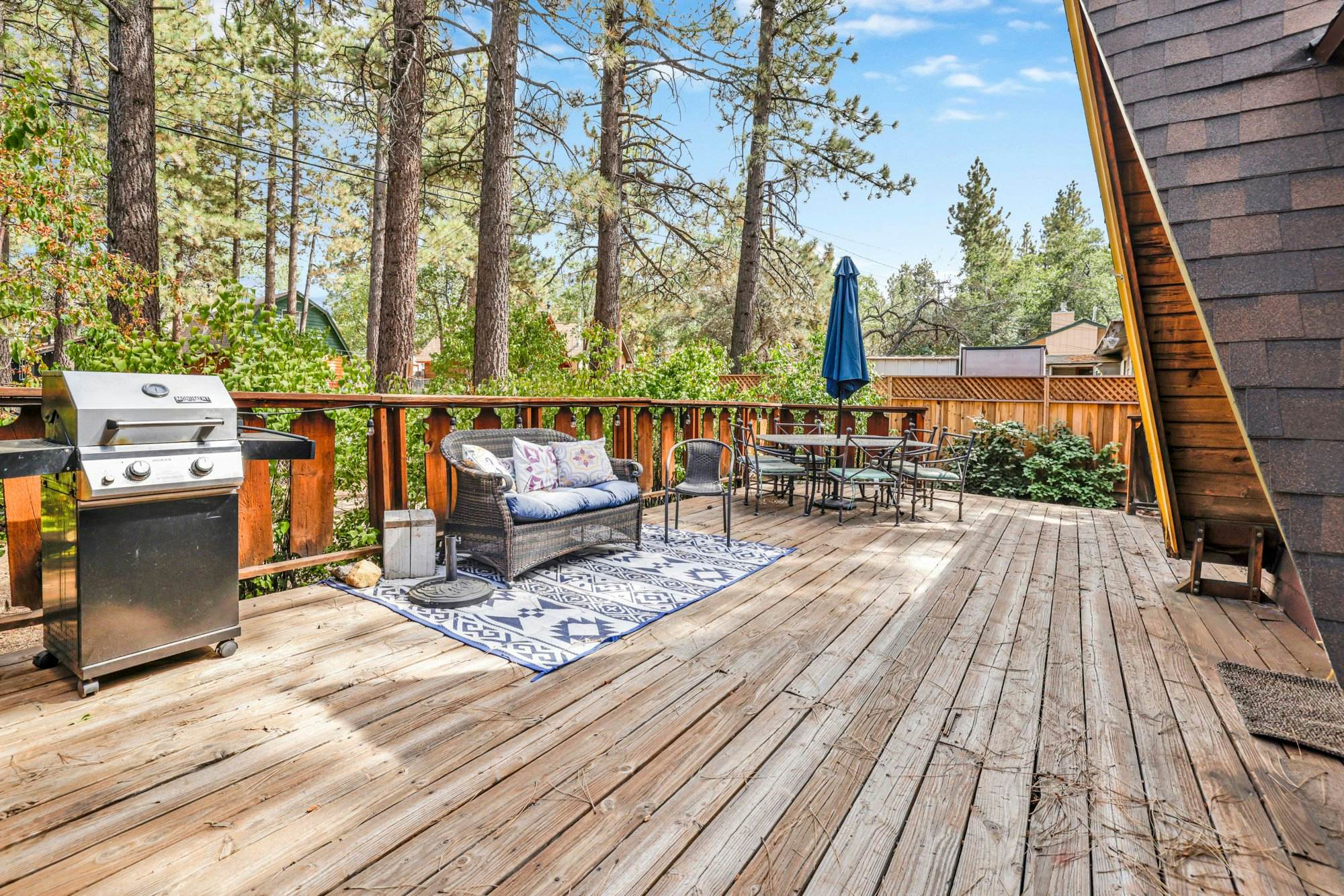 2493-Sugar Bear Pines