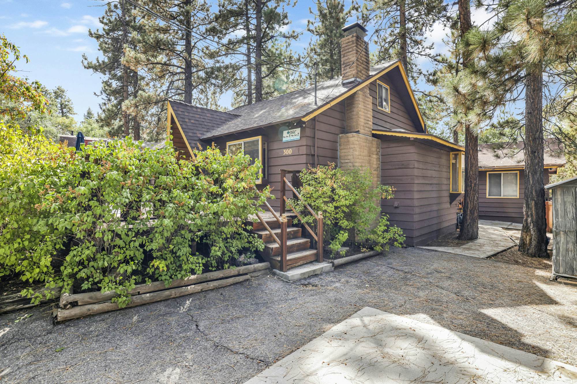 2493-Sugar Bear Pines