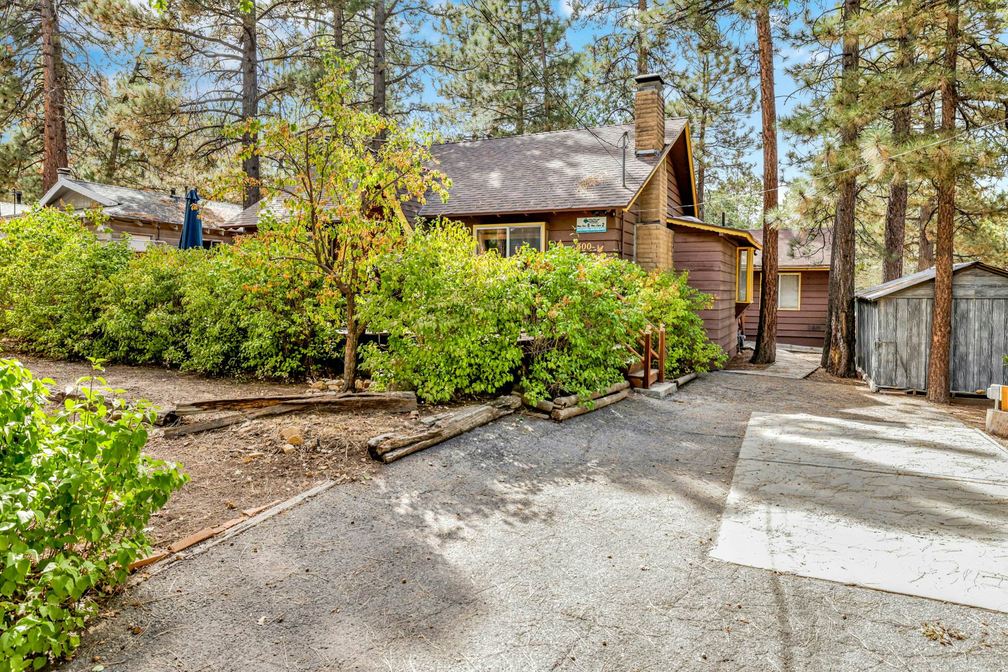 2493-Sugar Bear Pines