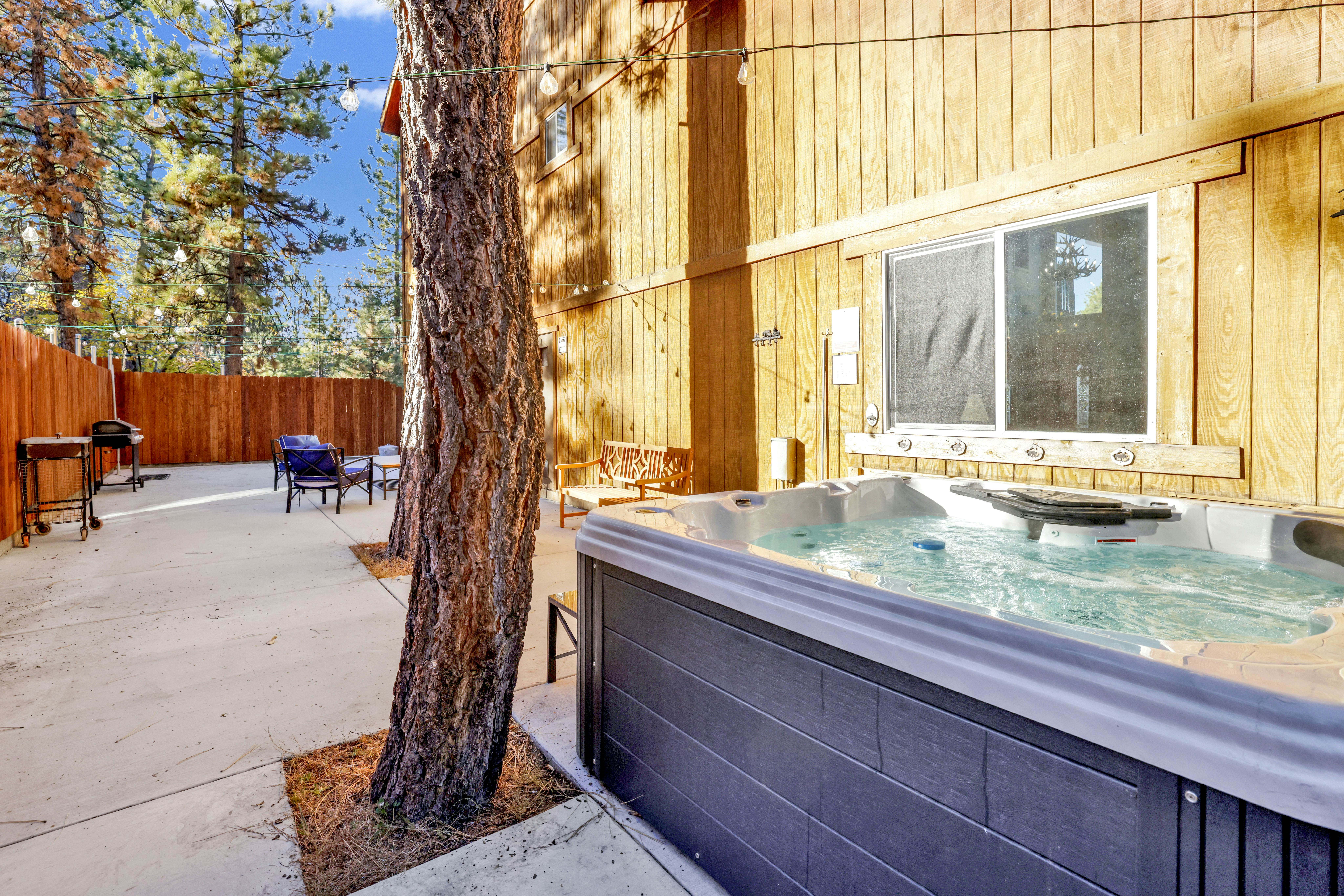 2507-Temple Bear Chalet