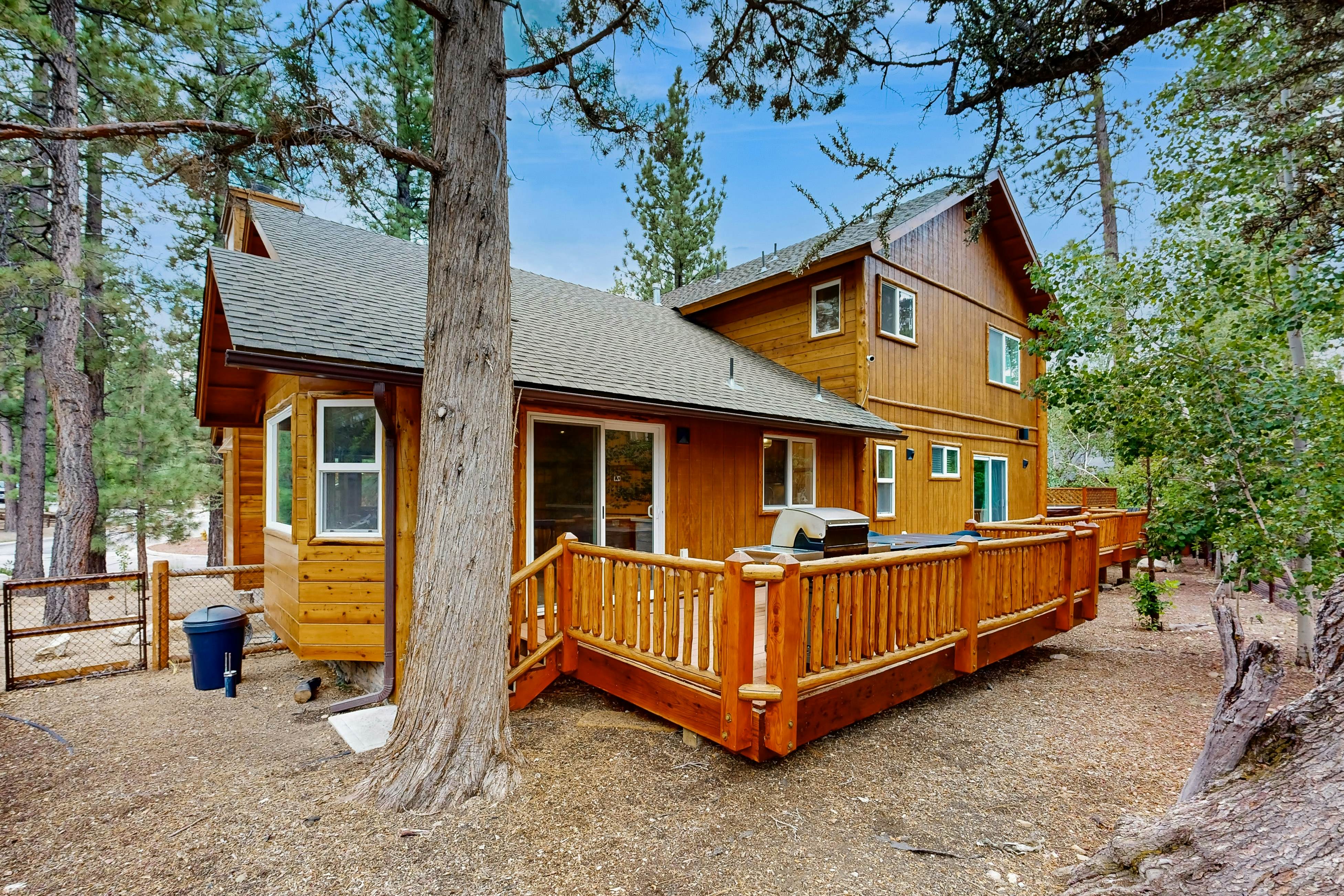 674-Big Bear White Skies