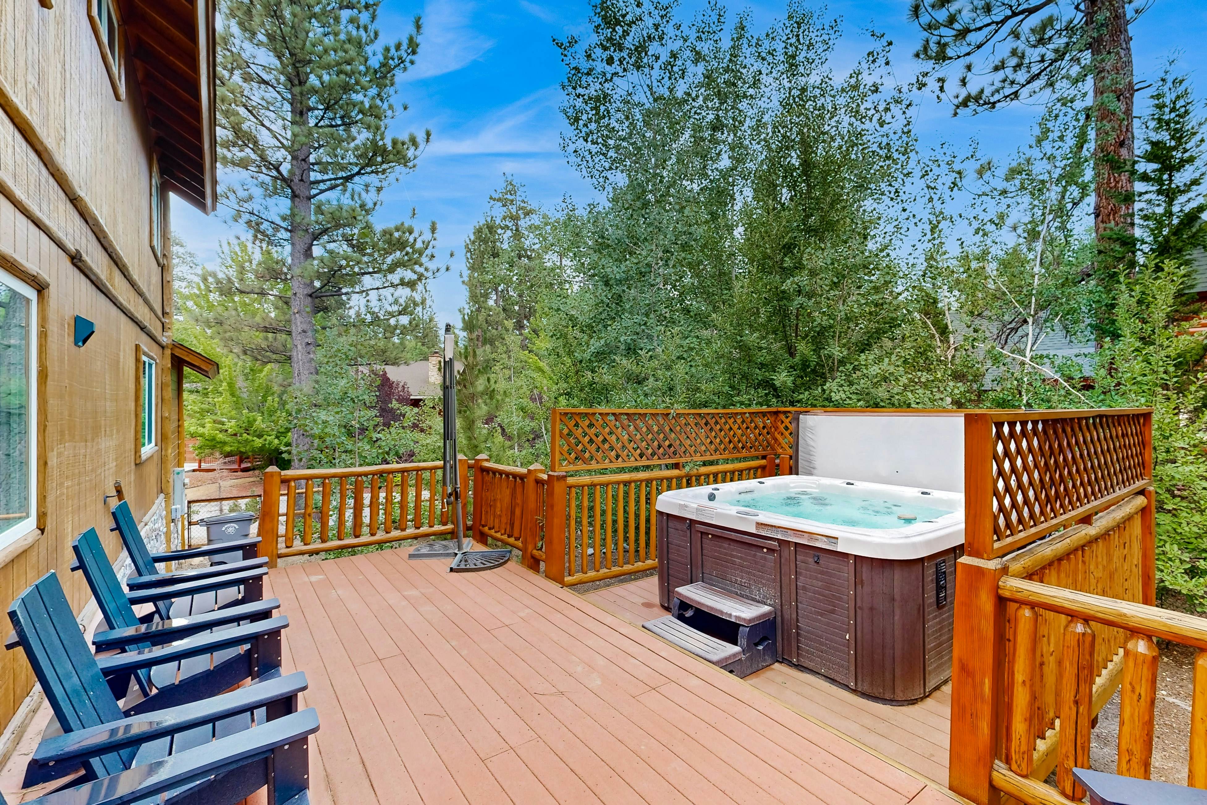 674-Big Bear White Skies