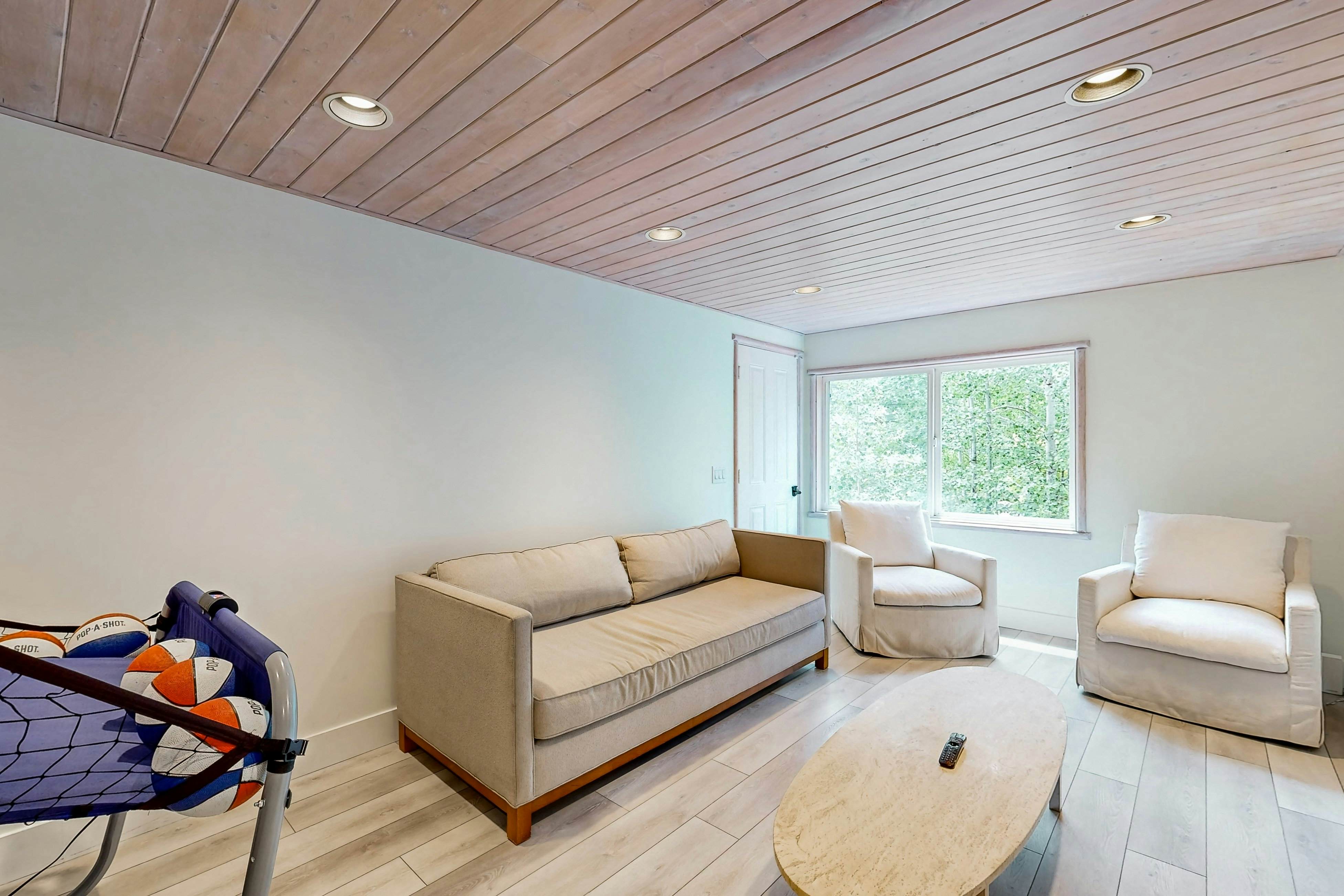 674-Big Bear White Skies