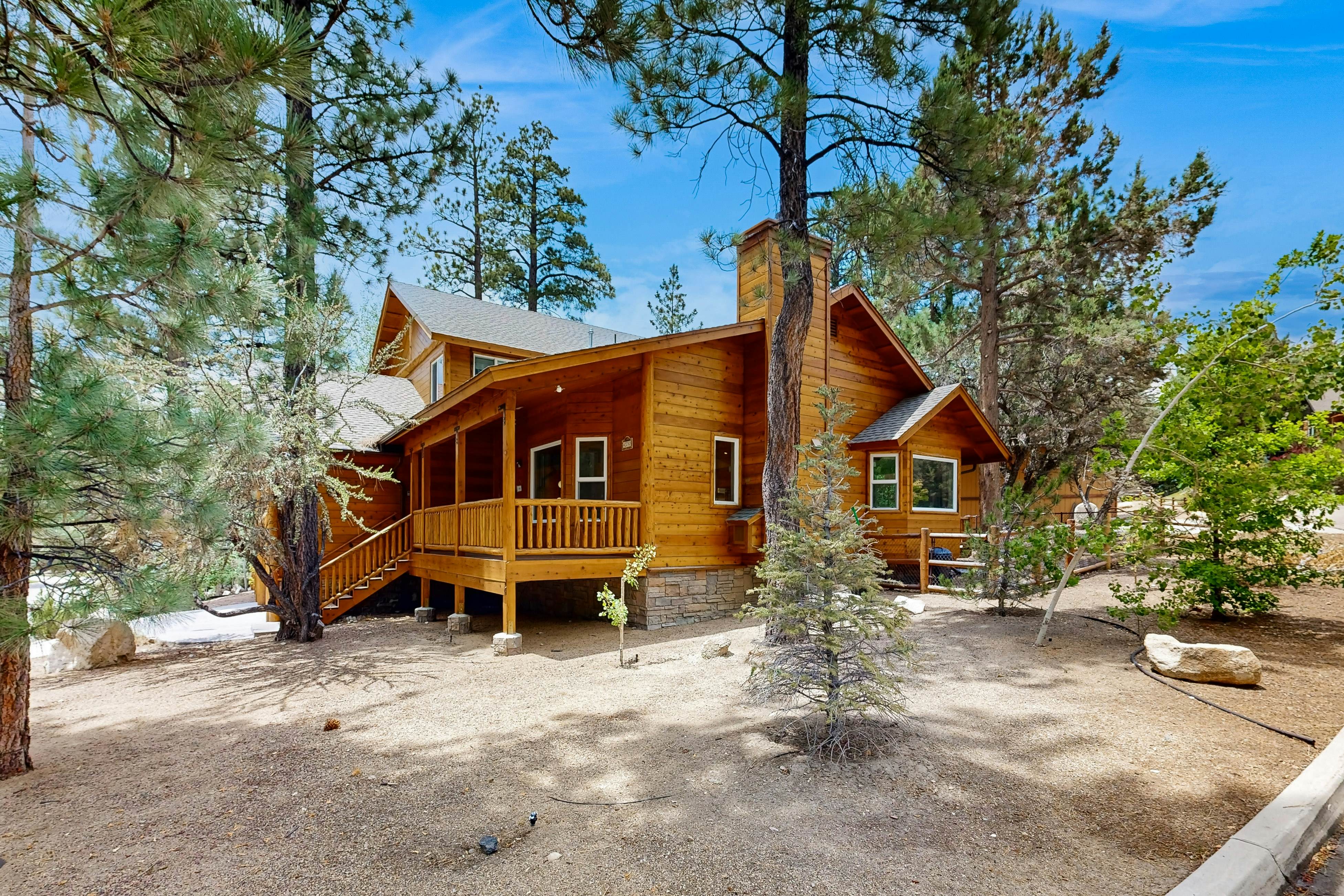 674-Big Bear White Skies