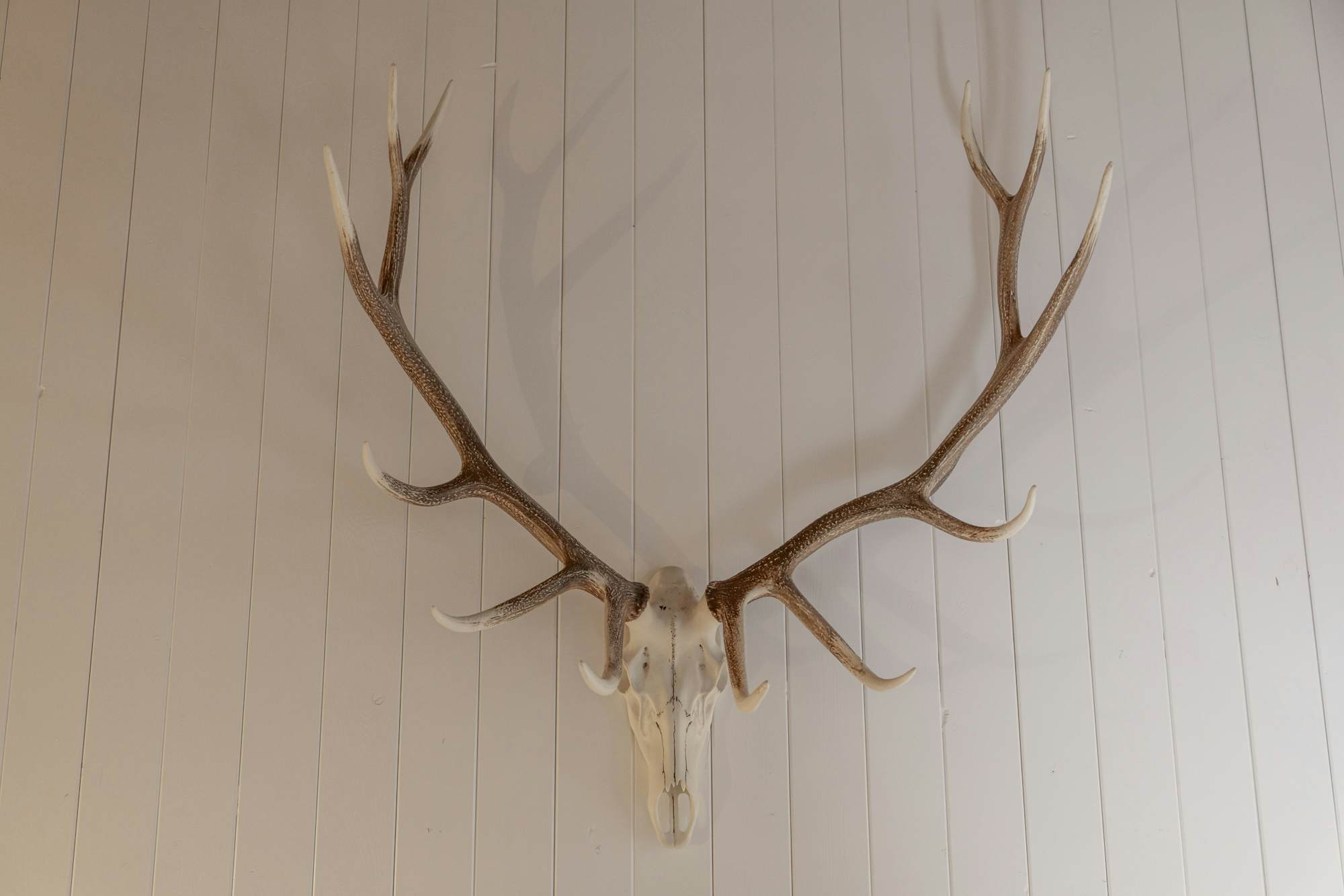 404-Balboa at Big Bear