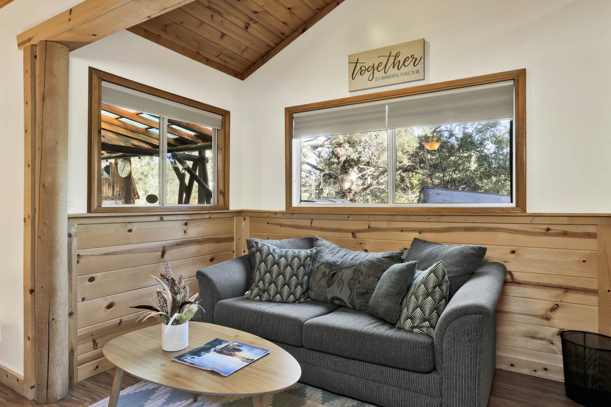 610-Entertainment Cabin